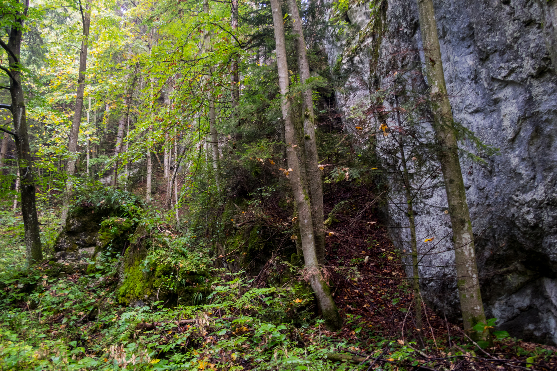 Matka Božia a Medvedia hlava z Košiarneho briežka (Slovenský raj)