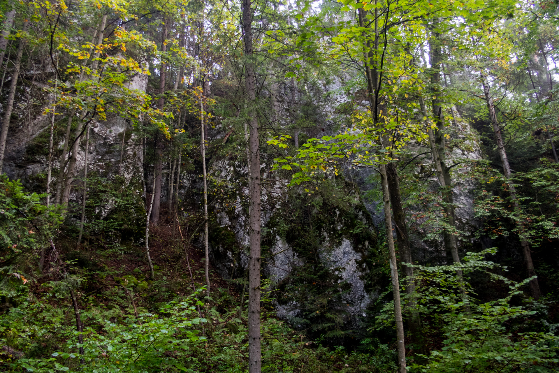 Matka Božia a Medvedia hlava z Košiarneho briežka (Slovenský raj)