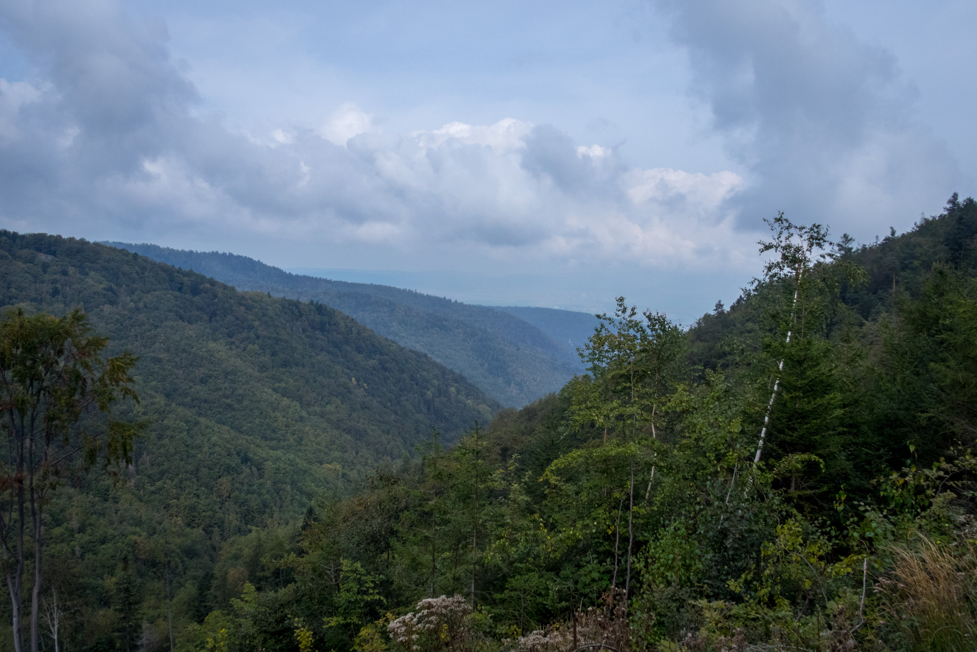 Matka Božia a Medvedia hlava z Košiarneho briežka (Slovenský raj)