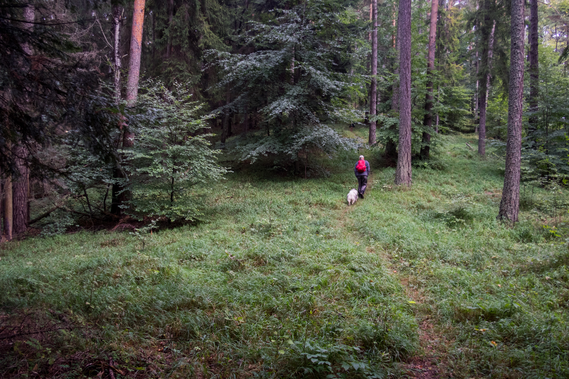 Matka Božia a Medvedia hlava z Košiarneho briežka (Slovenský raj)