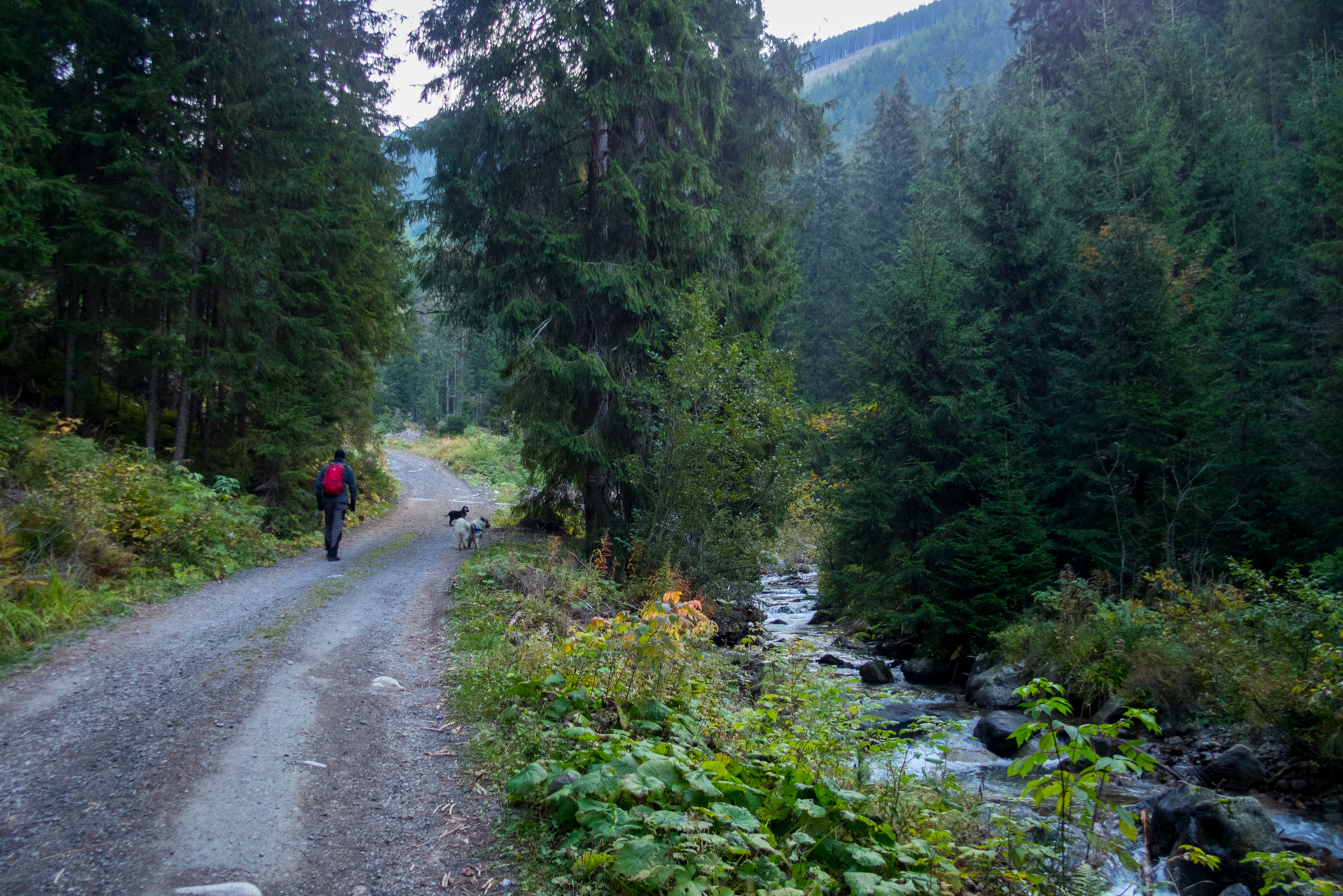 Otrhance z ATC Račkova dolina (Západné Tatry)