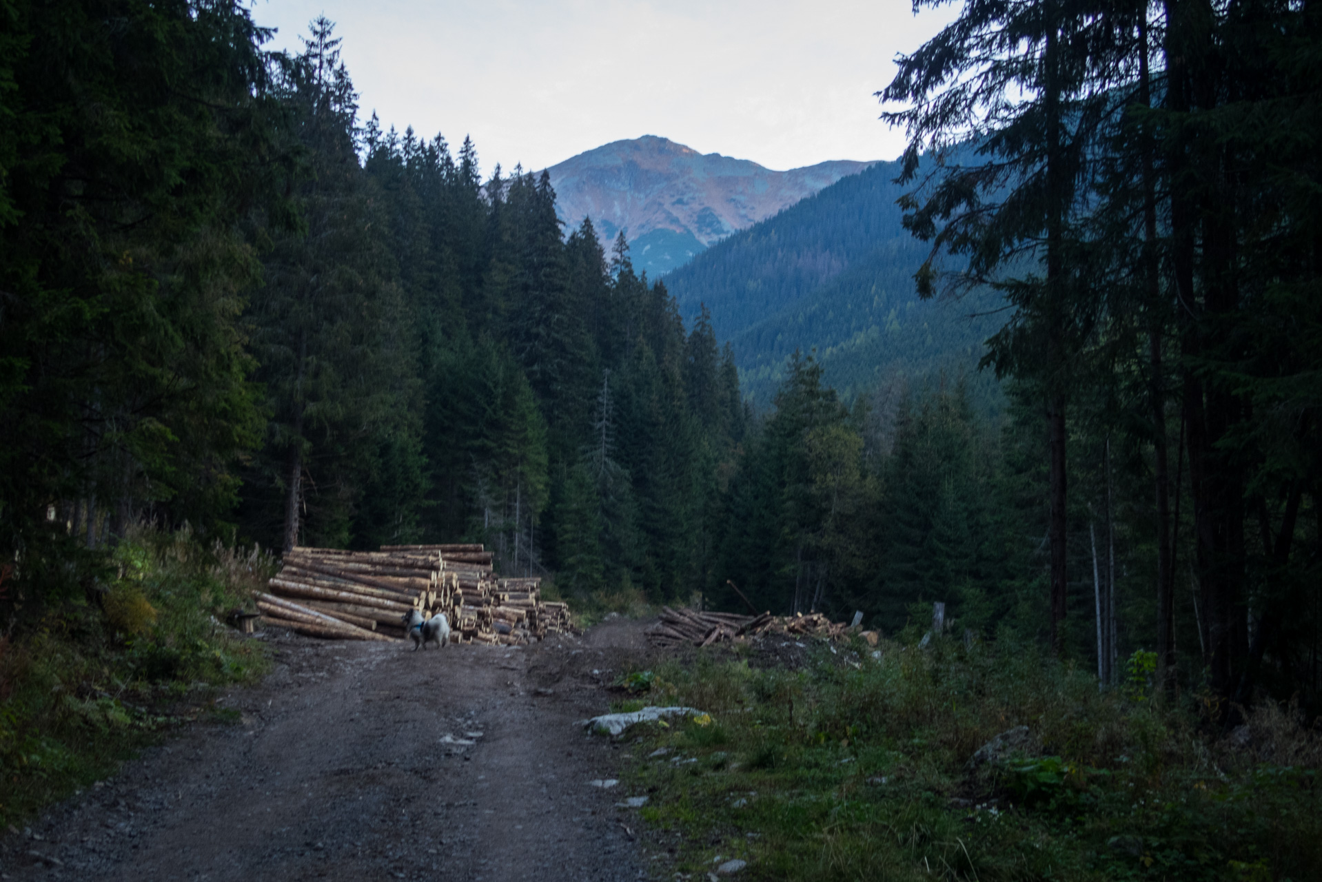 Otrhance z ATC Račkova dolina (Západné Tatry)