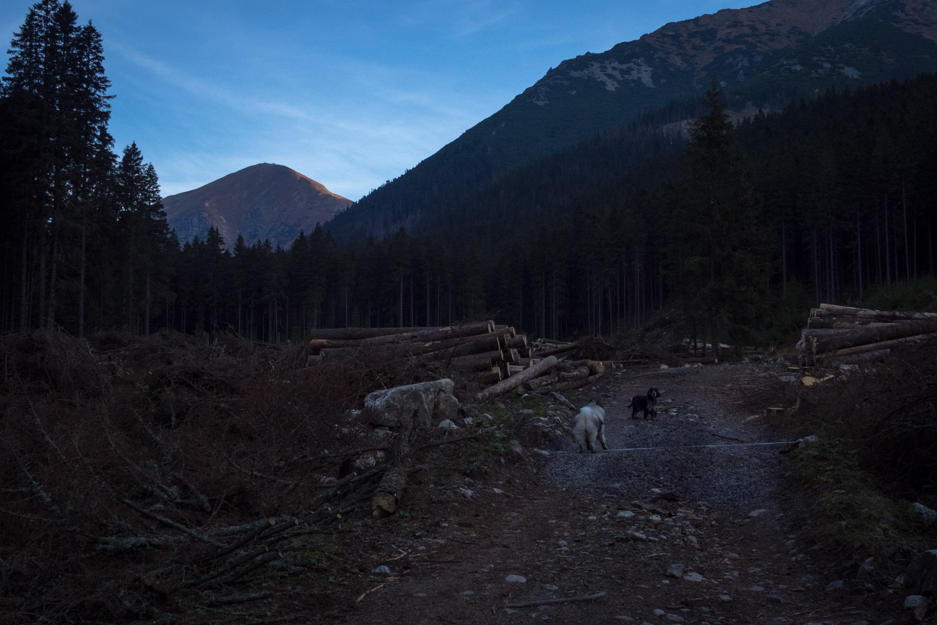 Otrhance z ATC Račkova dolina (Západné Tatry)