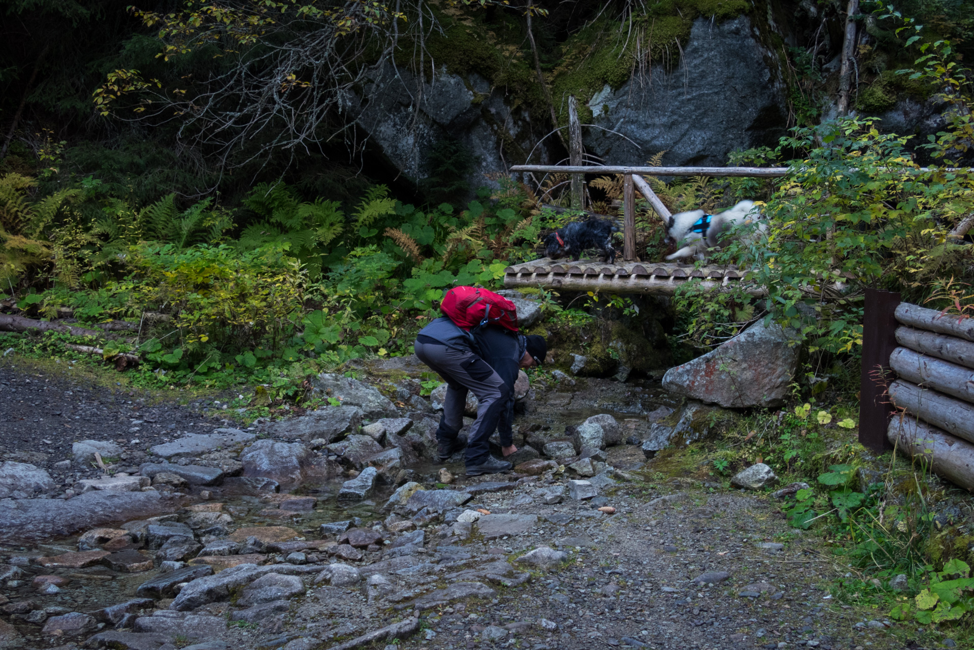 Otrhance z ATC Račkova dolina (Západné Tatry)