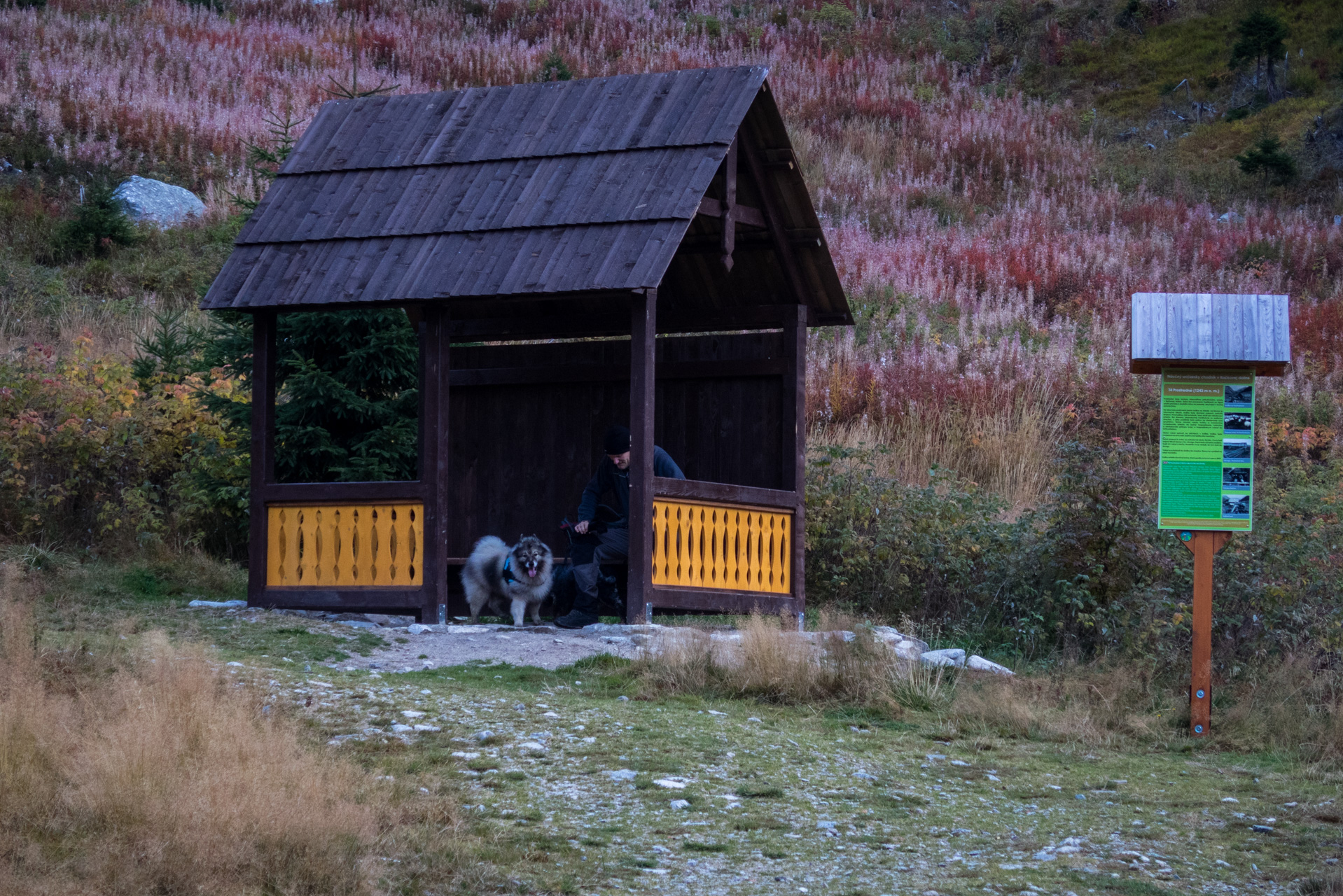 Otrhance z ATC Račkova dolina (Západné Tatry)