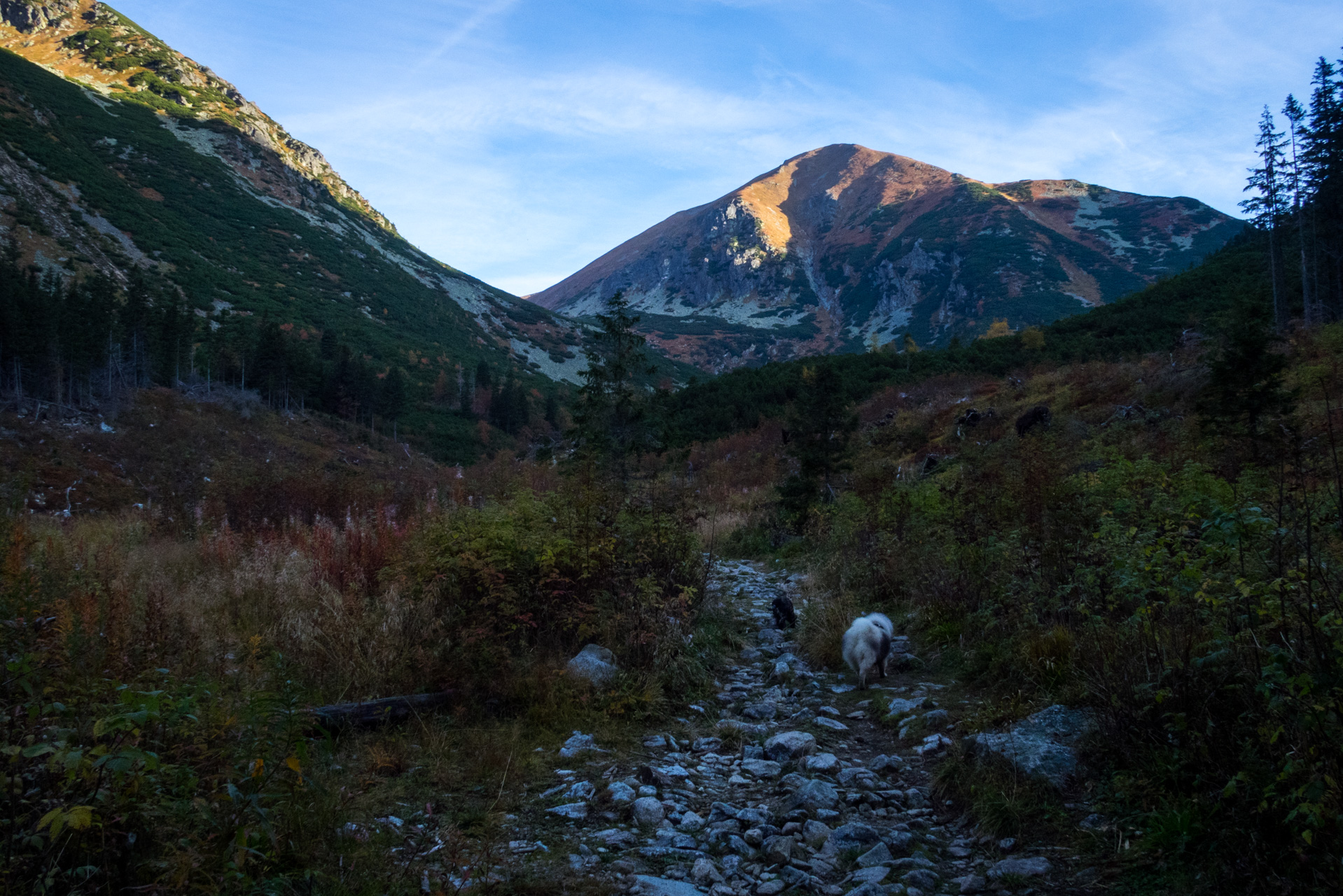 Otrhance z ATC Račkova dolina (Západné Tatry)