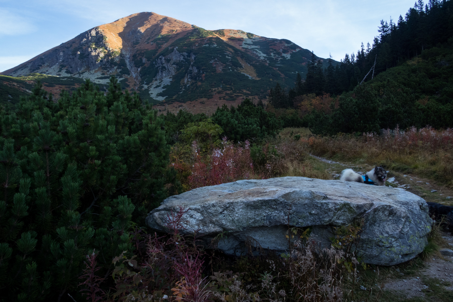 Otrhance z ATC Račkova dolina (Západné Tatry)