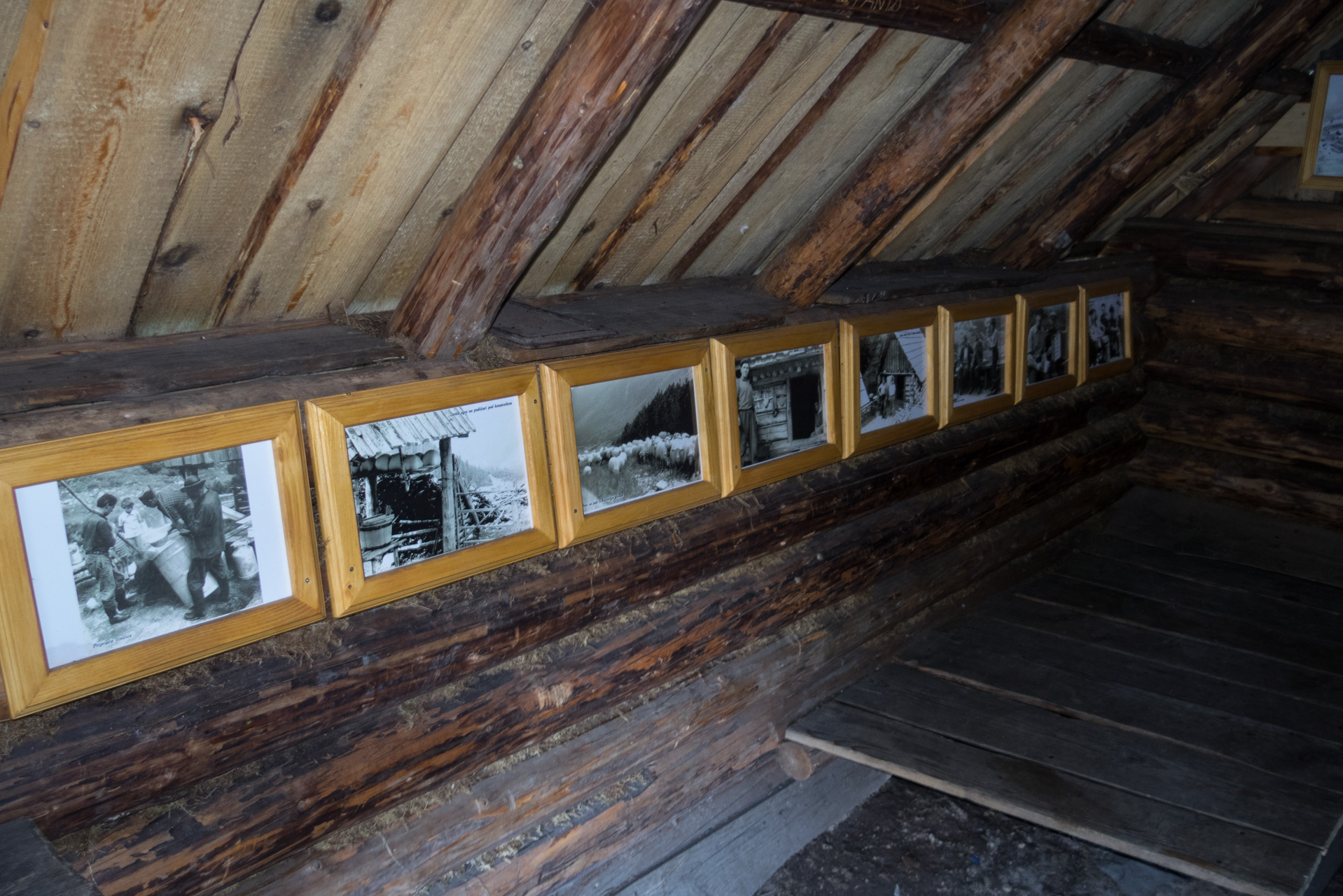 Otrhance z ATC Račkova dolina (Západné Tatry)