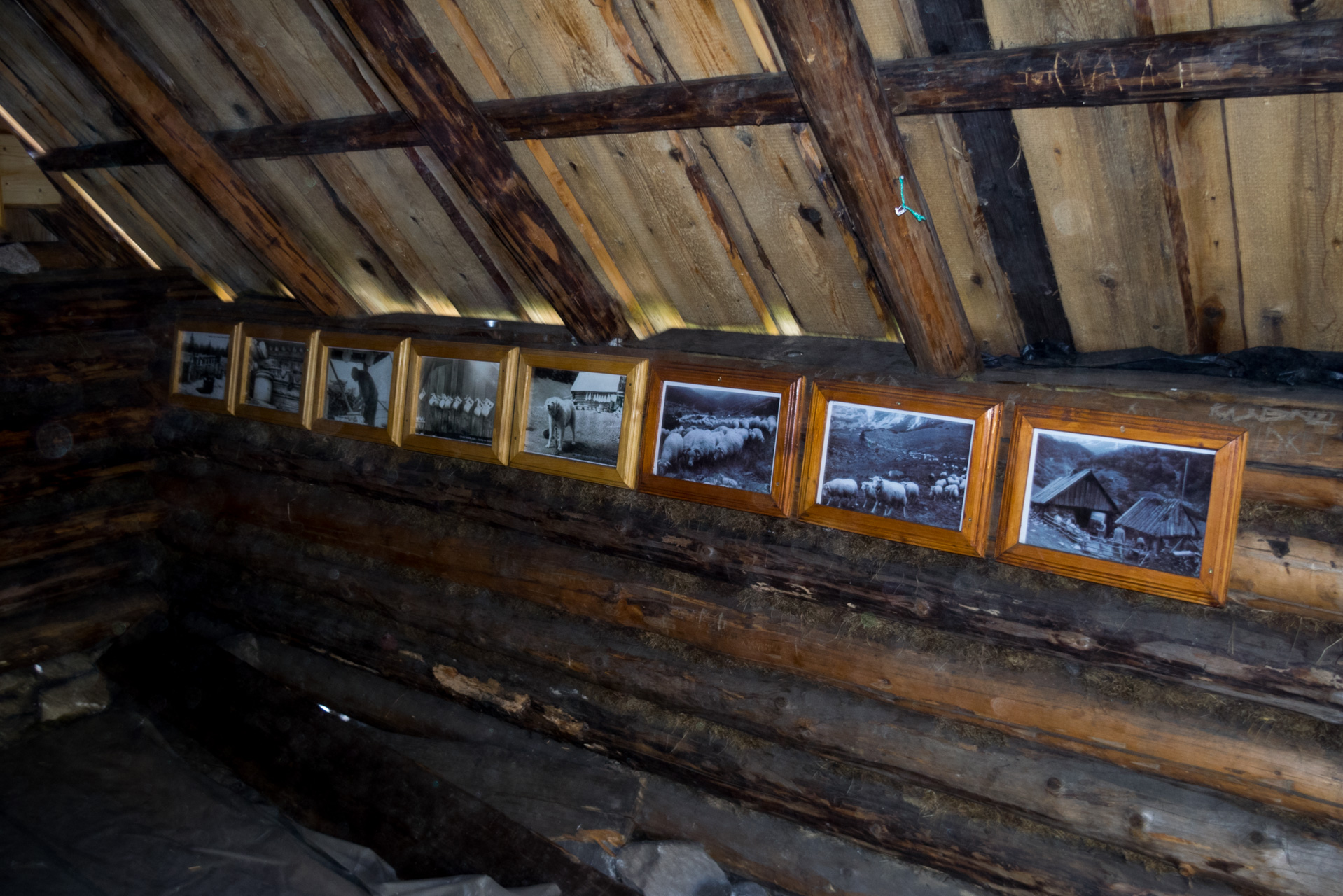 Otrhance z ATC Račkova dolina (Západné Tatry)