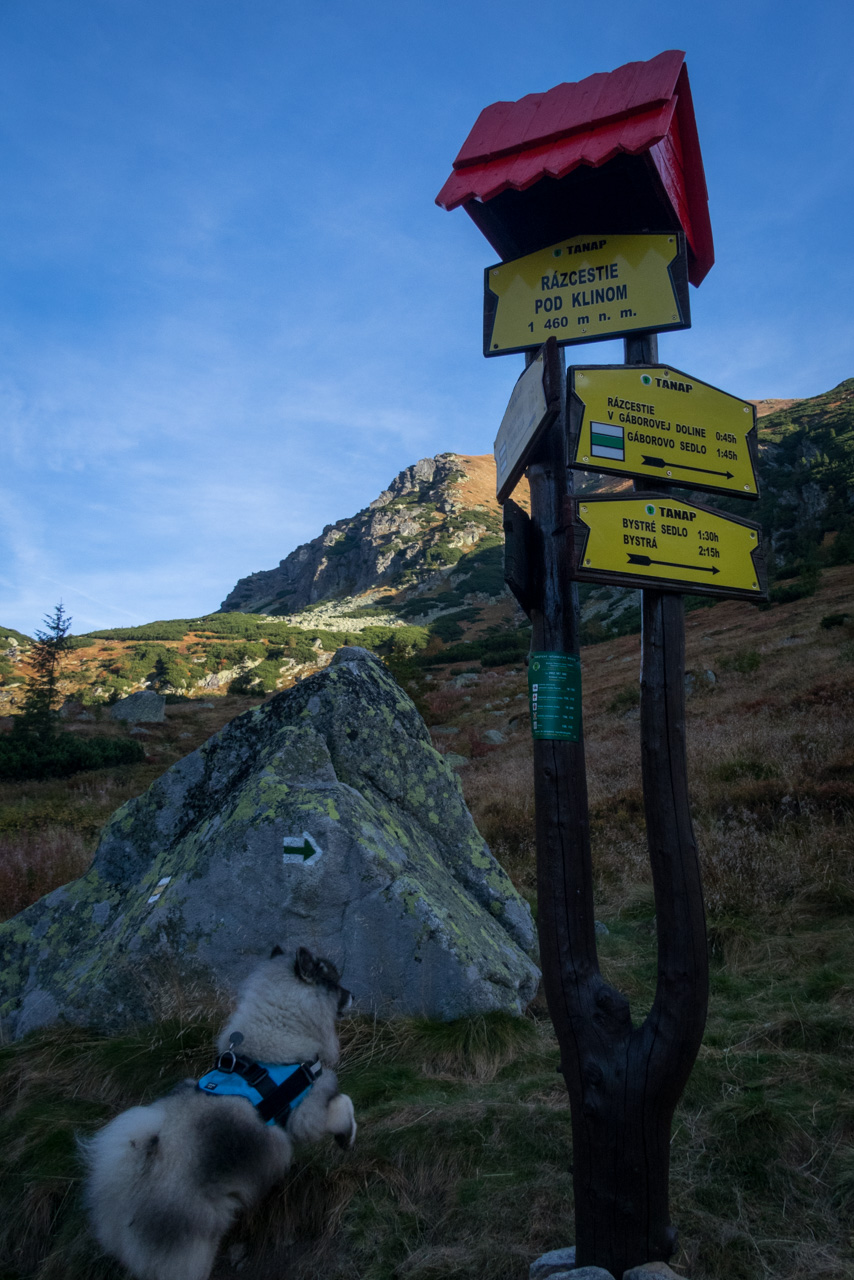 Otrhance z ATC Račkova dolina (Západné Tatry)