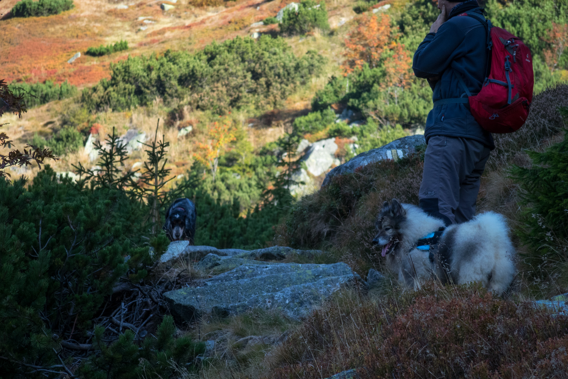 Otrhance z ATC Račkova dolina (Západné Tatry)