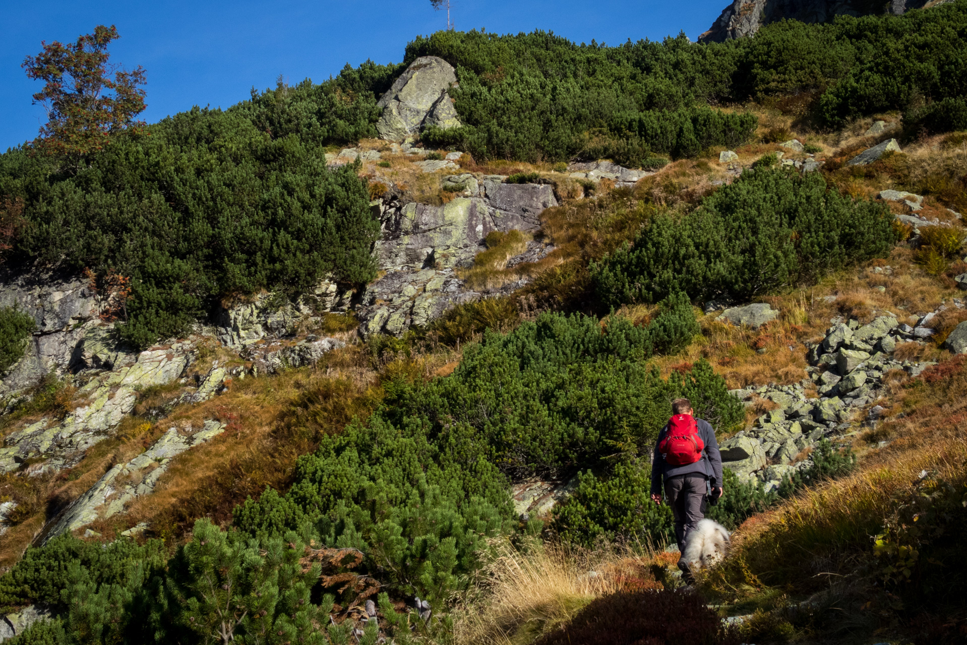 Otrhance z ATC Račkova dolina (Západné Tatry)