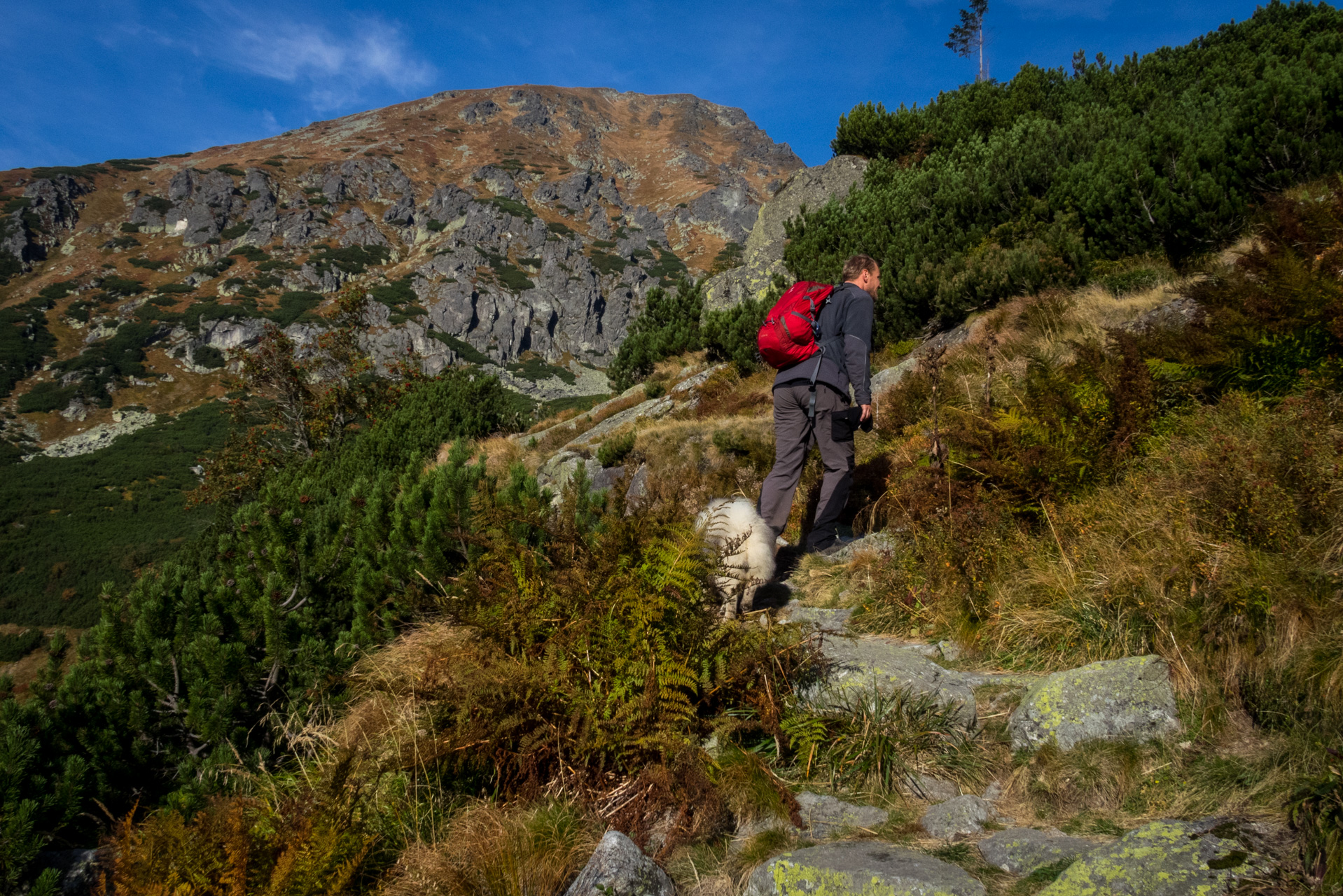 Otrhance z ATC Račkova dolina (Západné Tatry)