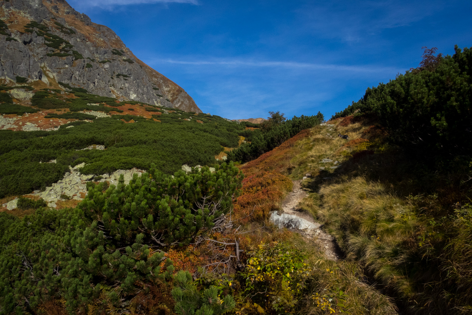 Otrhance z ATC Račkova dolina (Západné Tatry)