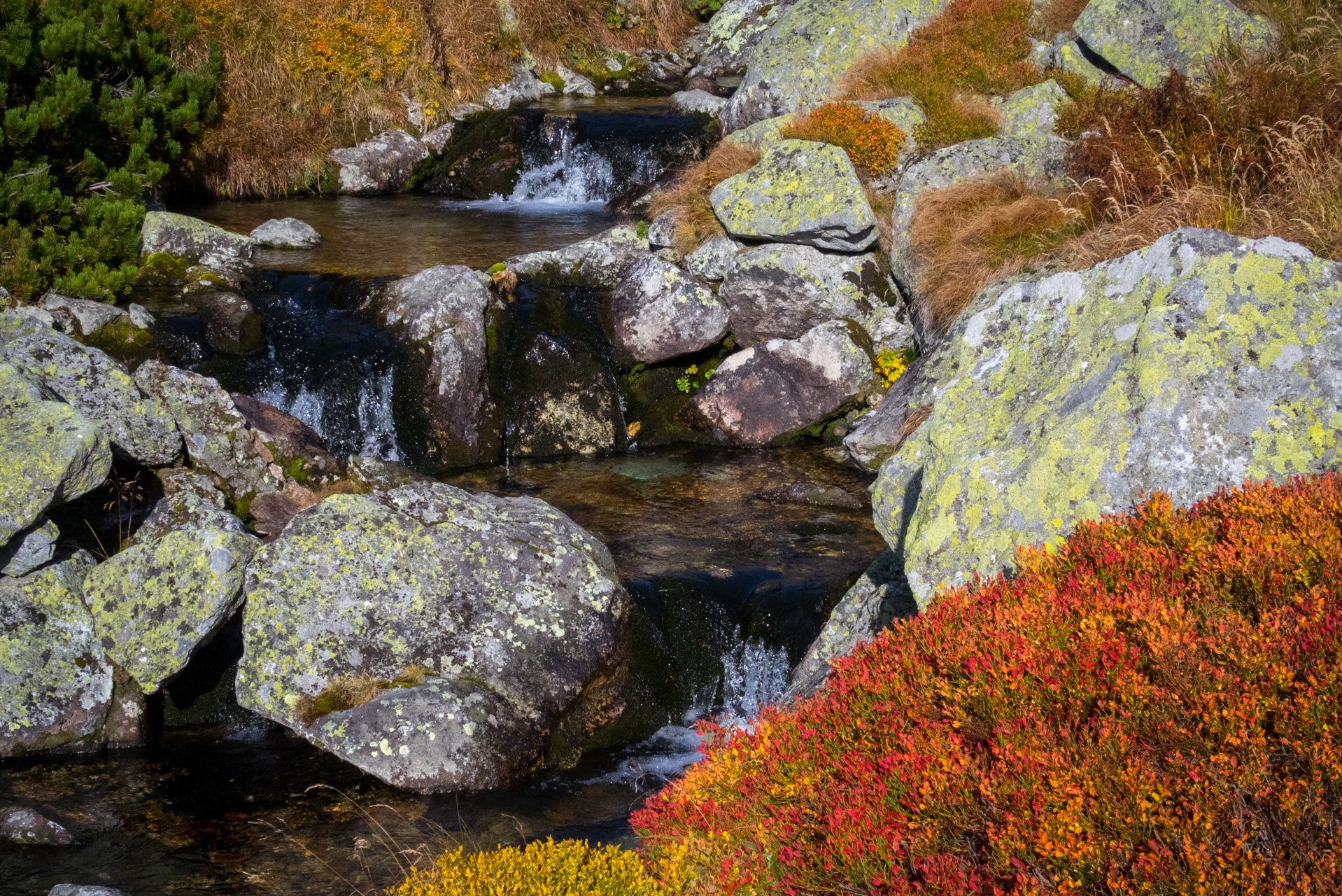 Otrhance z ATC Račkova dolina (Západné Tatry)