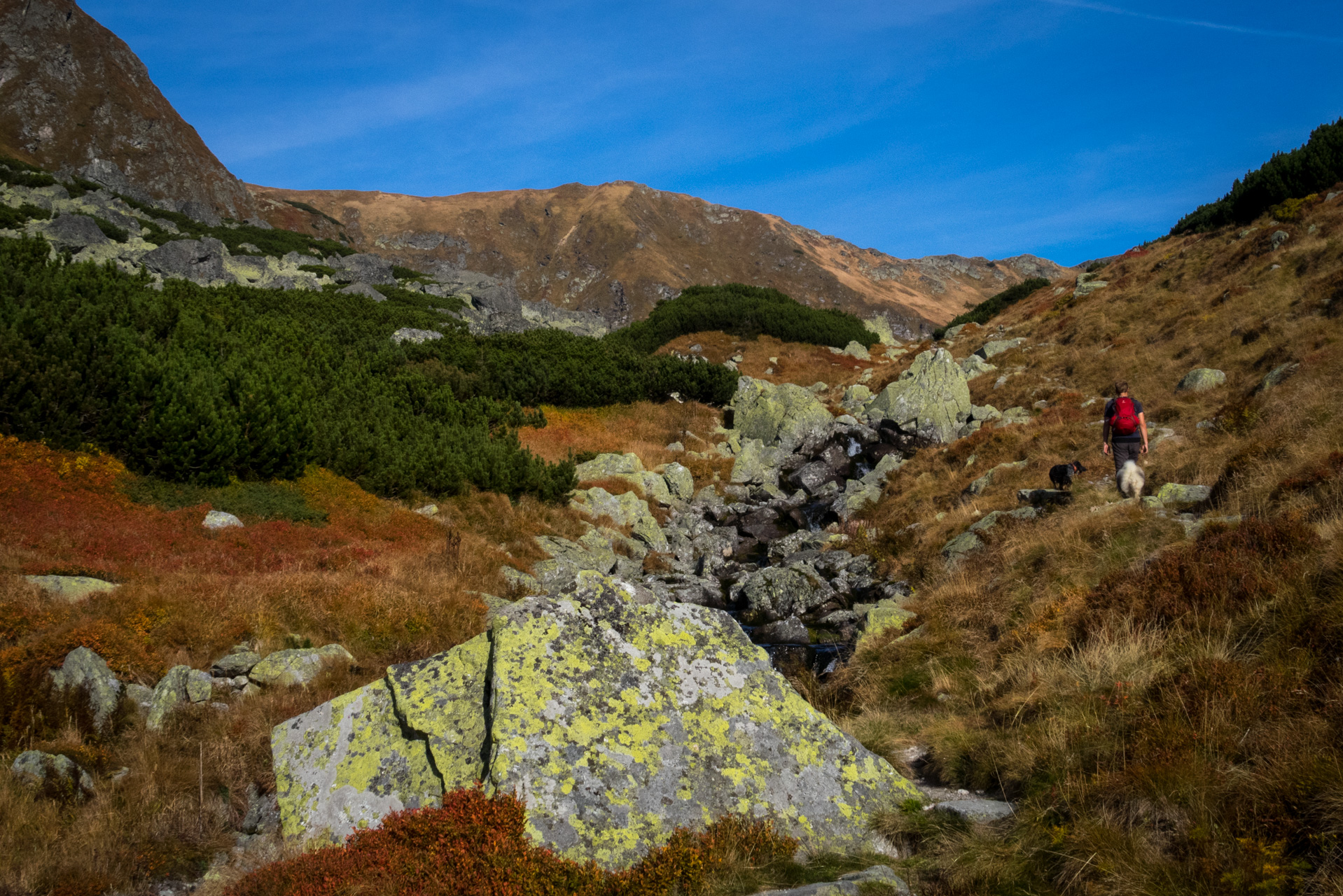 Otrhance z ATC Račkova dolina (Západné Tatry)