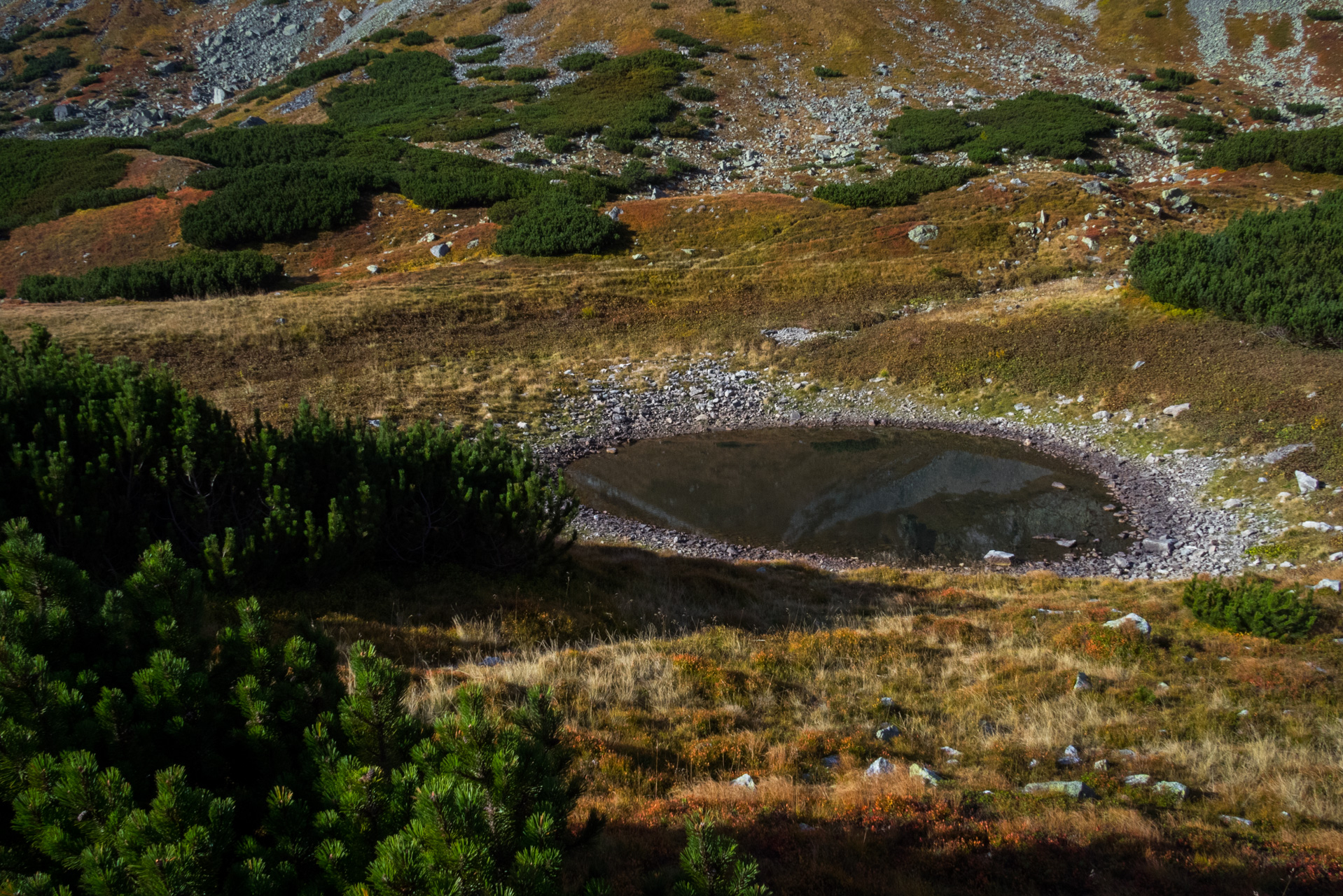 Otrhance z ATC Račkova dolina (Západné Tatry)