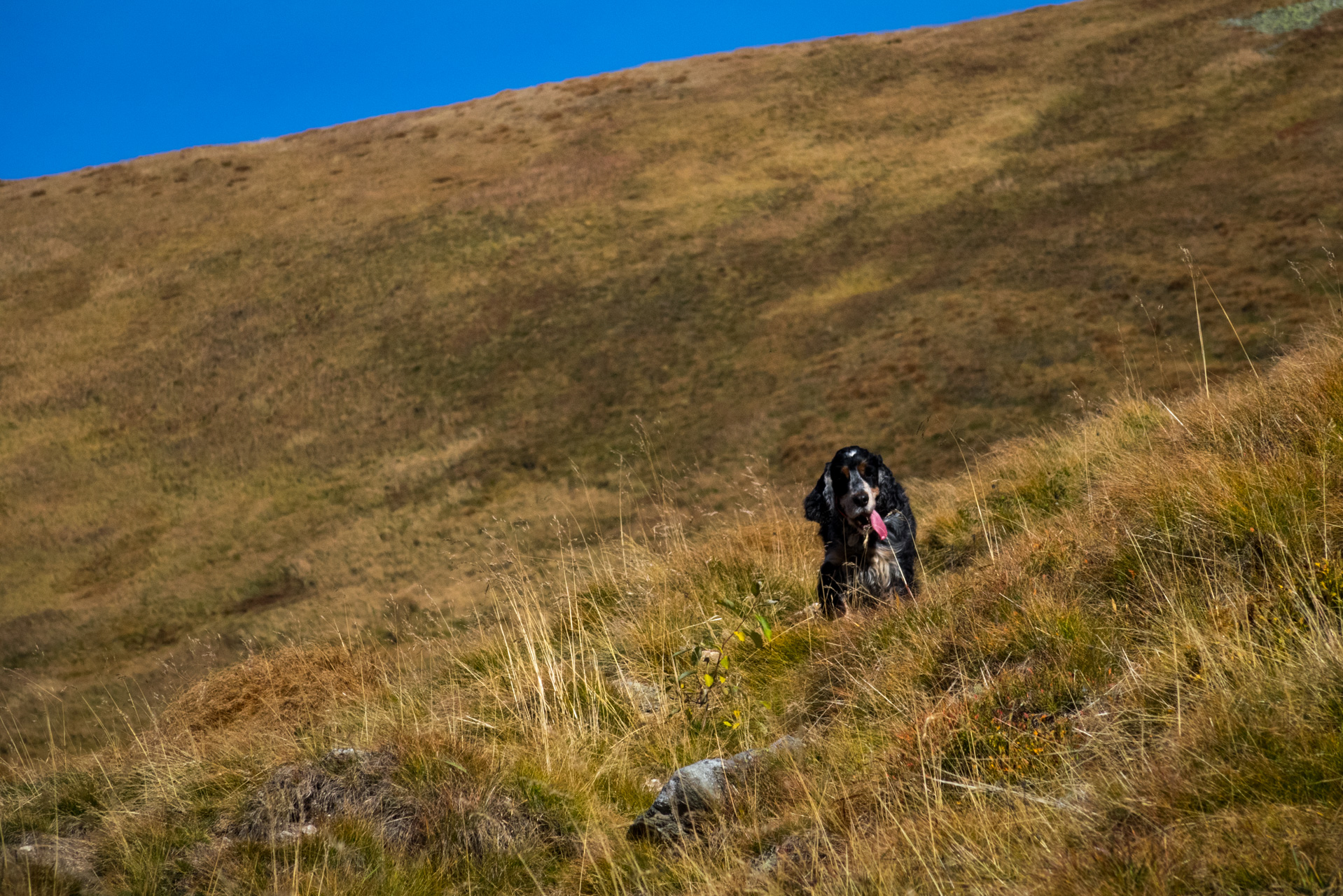 Otrhance z ATC Račkova dolina (Západné Tatry)