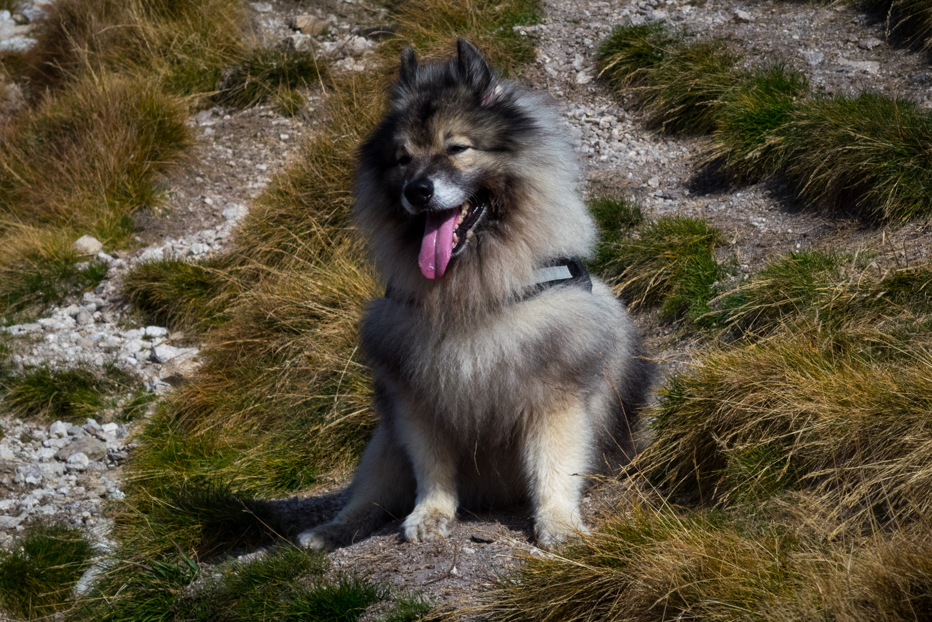 Otrhance z ATC Račkova dolina (Západné Tatry)