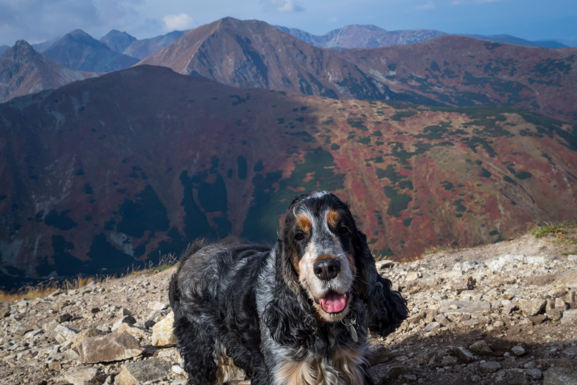 Otrhance z ATC Račkova dolina (Západné Tatry)