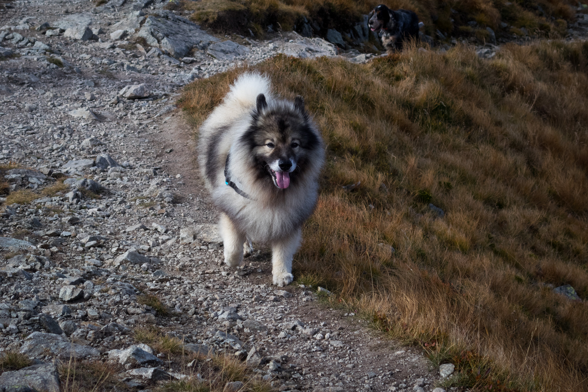 Otrhance z ATC Račkova dolina (Západné Tatry)