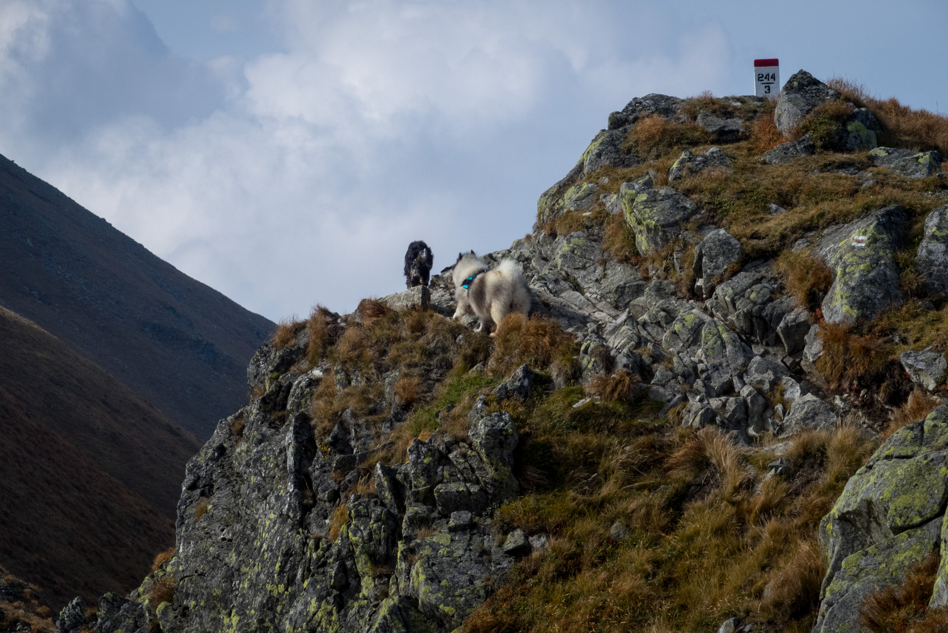 Otrhance z ATC Račkova dolina (Západné Tatry)