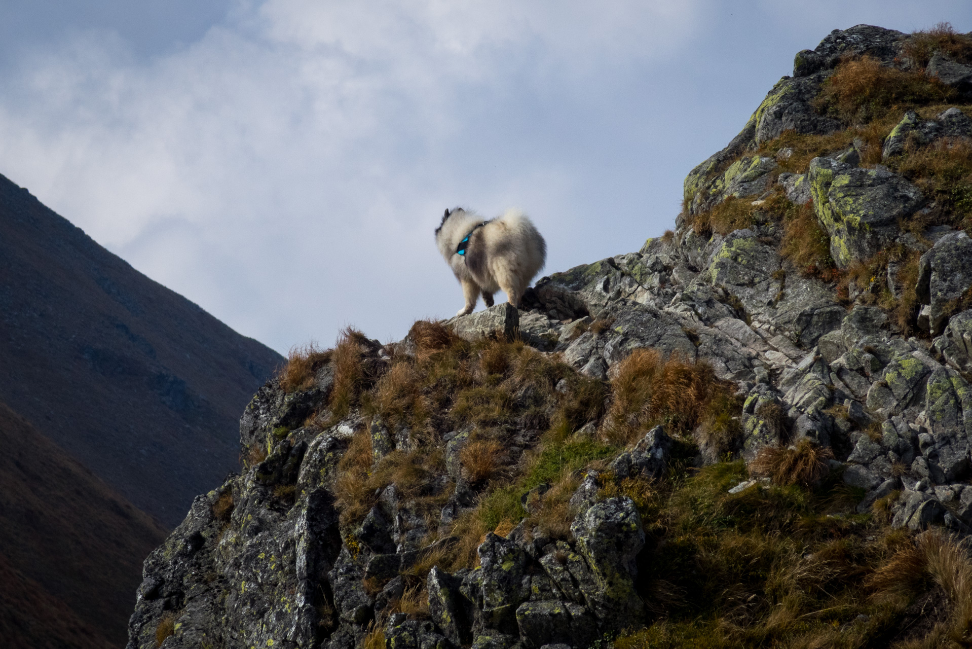 Otrhance z ATC Račkova dolina (Západné Tatry)