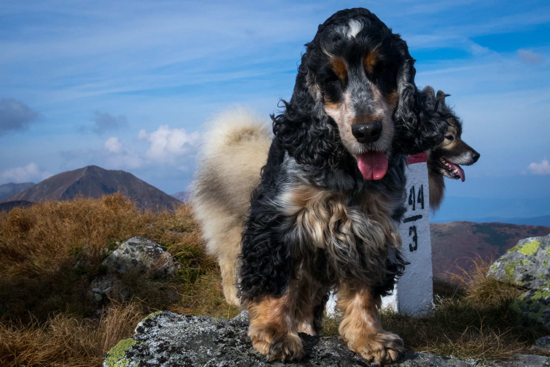 Otrhance z ATC Račkova dolina (Západné Tatry)