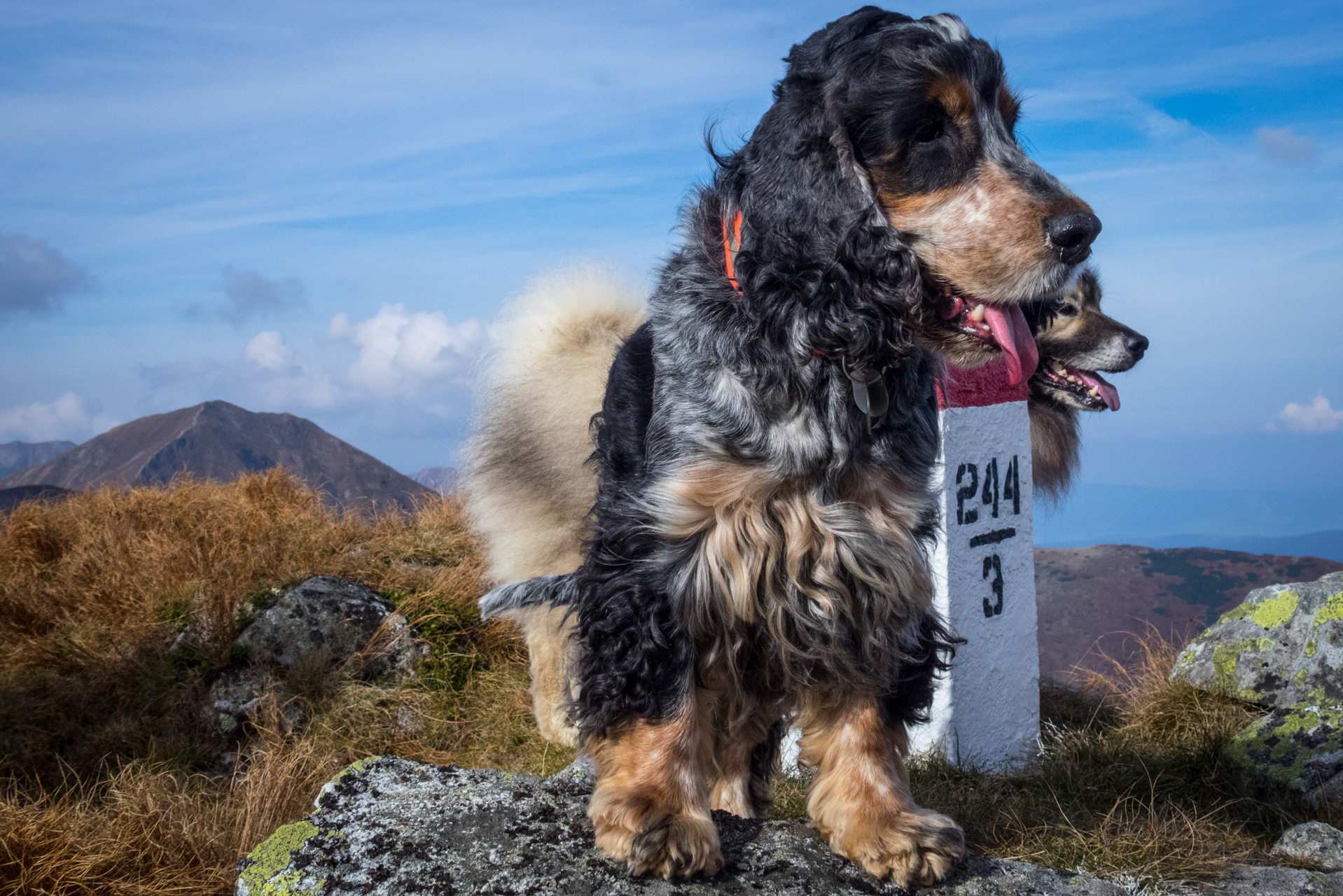 Otrhance z ATC Račkova dolina (Západné Tatry)