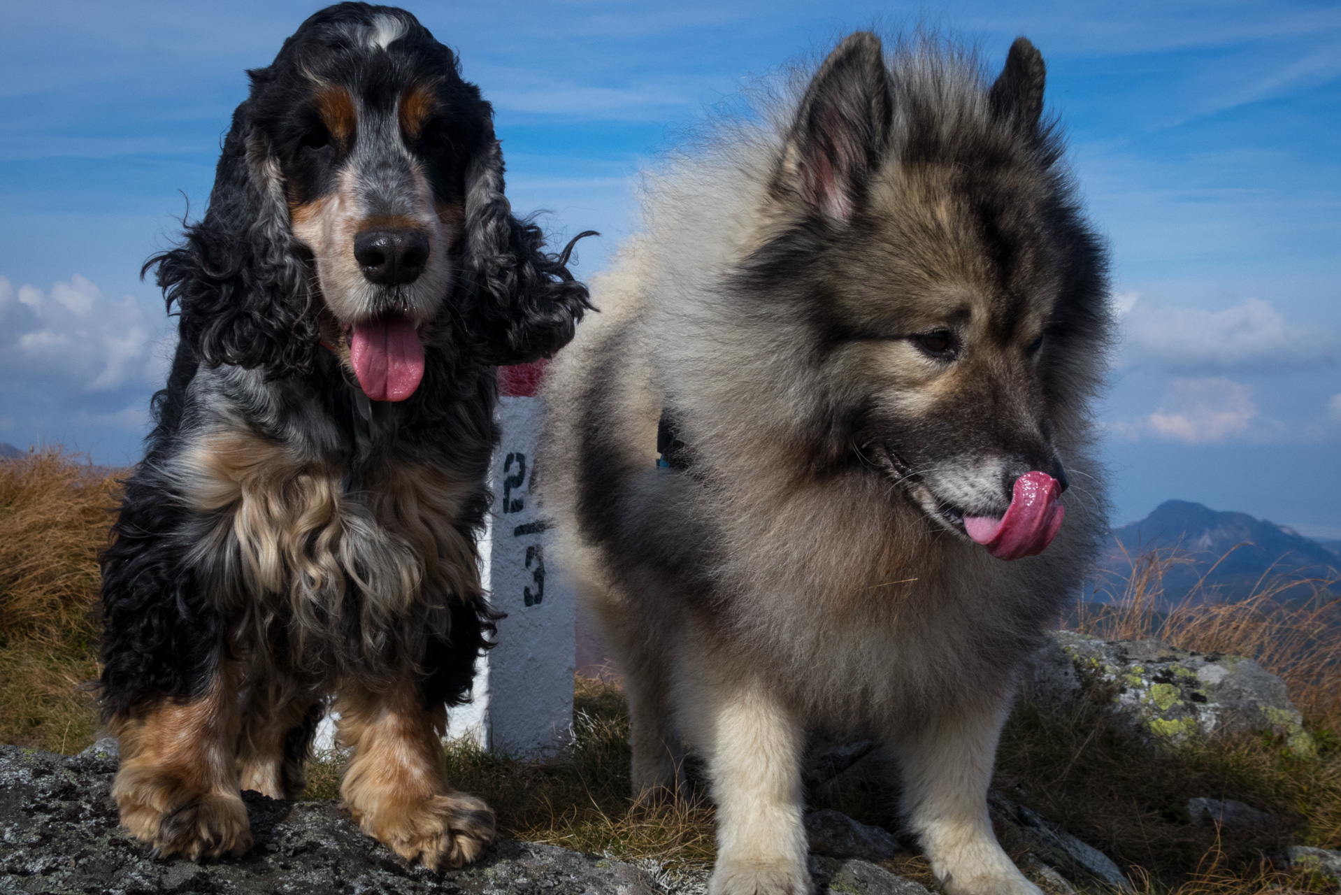 Otrhance z ATC Račkova dolina (Západné Tatry)