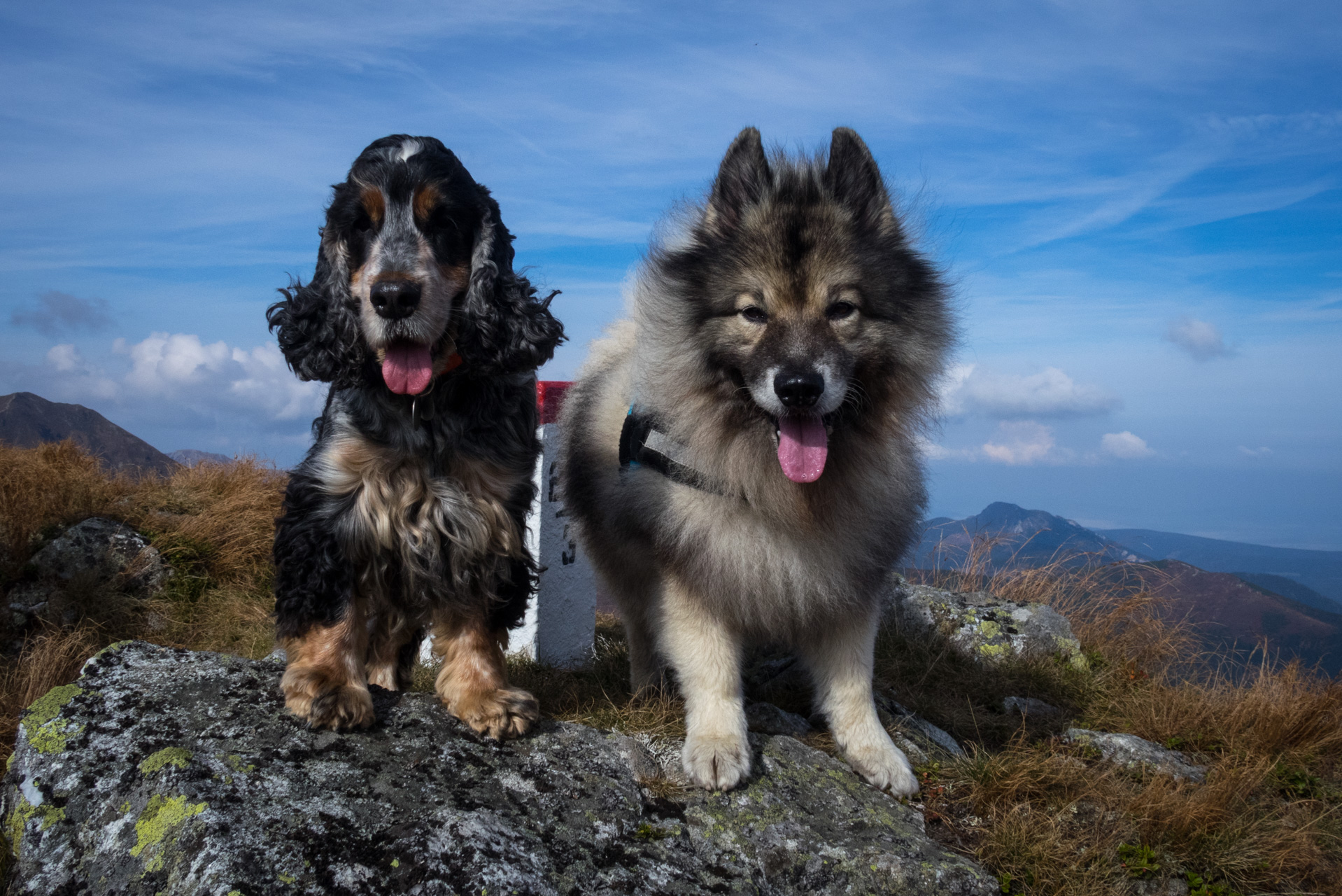 Otrhance z ATC Račkova dolina (Západné Tatry)