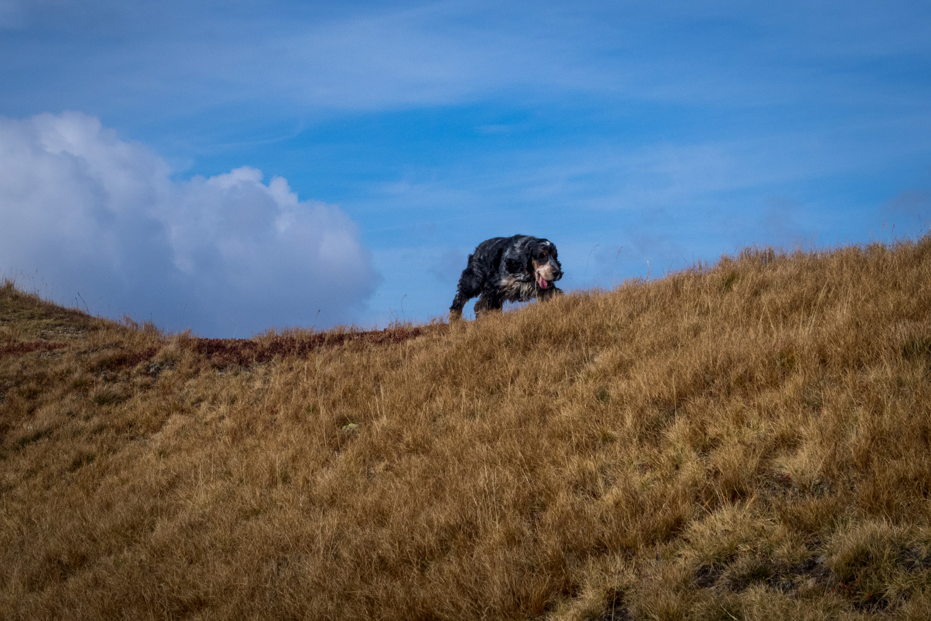 Otrhance z ATC Račkova dolina (Západné Tatry)