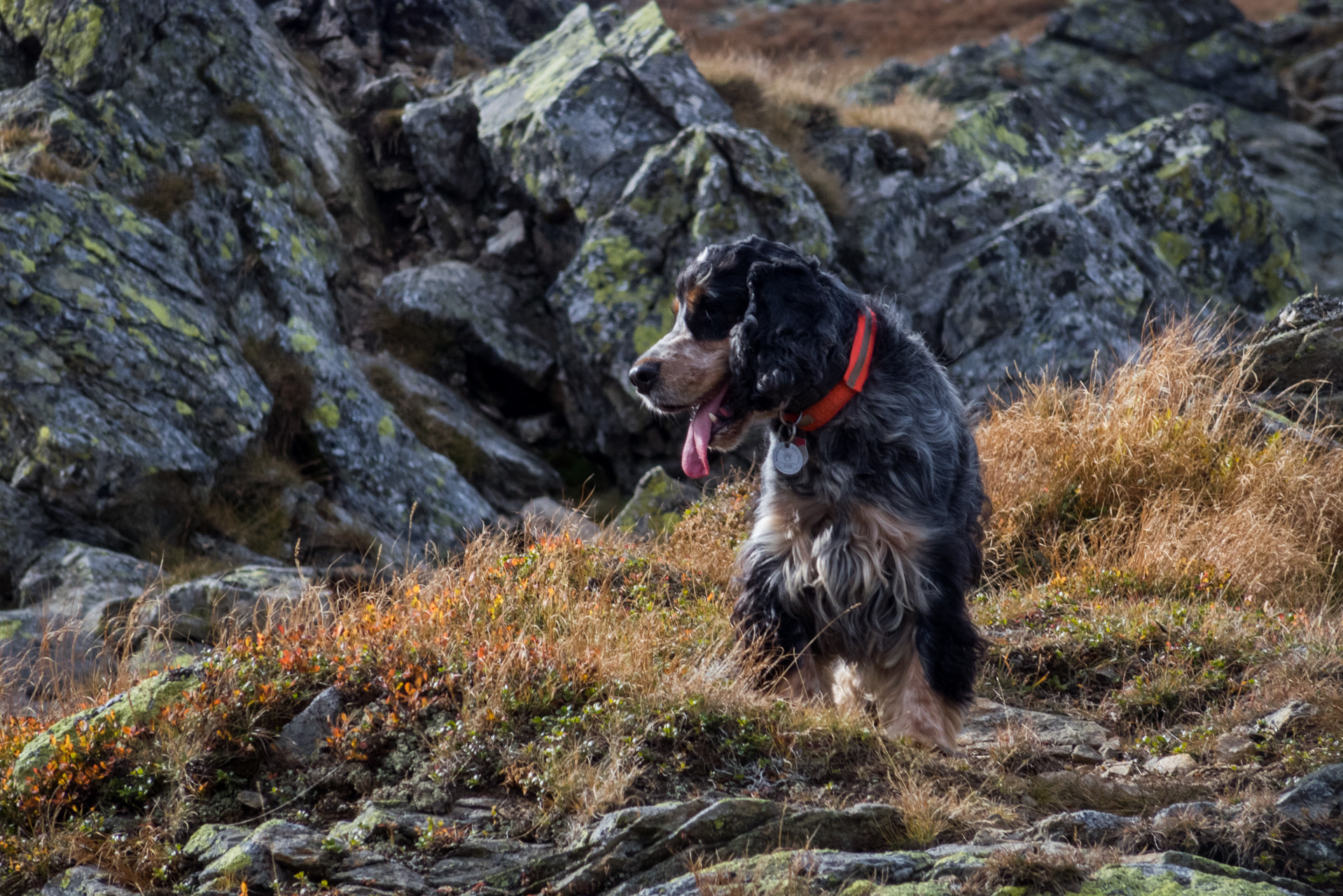 Otrhance z ATC Račkova dolina (Západné Tatry)