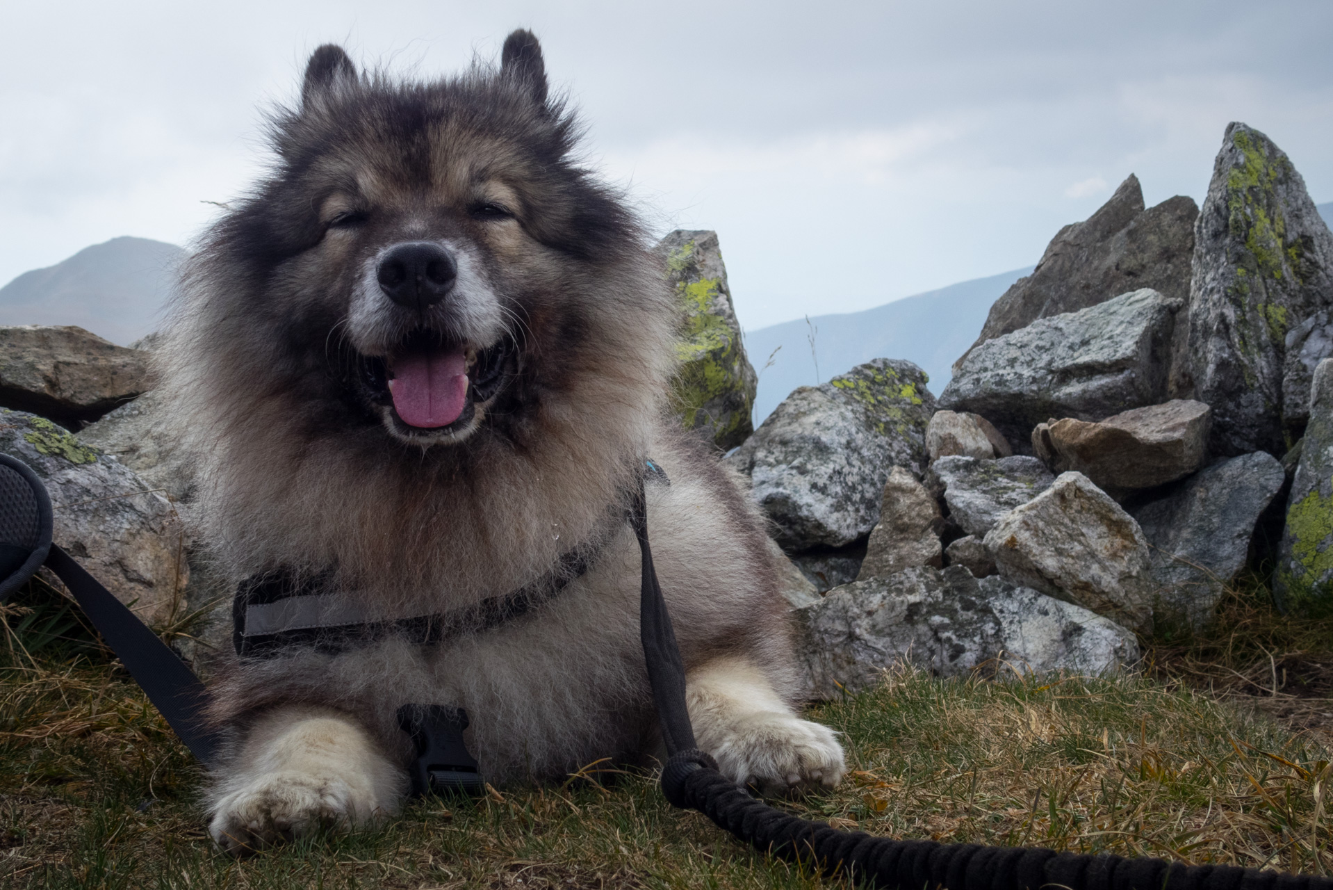 Otrhance z ATC Račkova dolina (Západné Tatry)