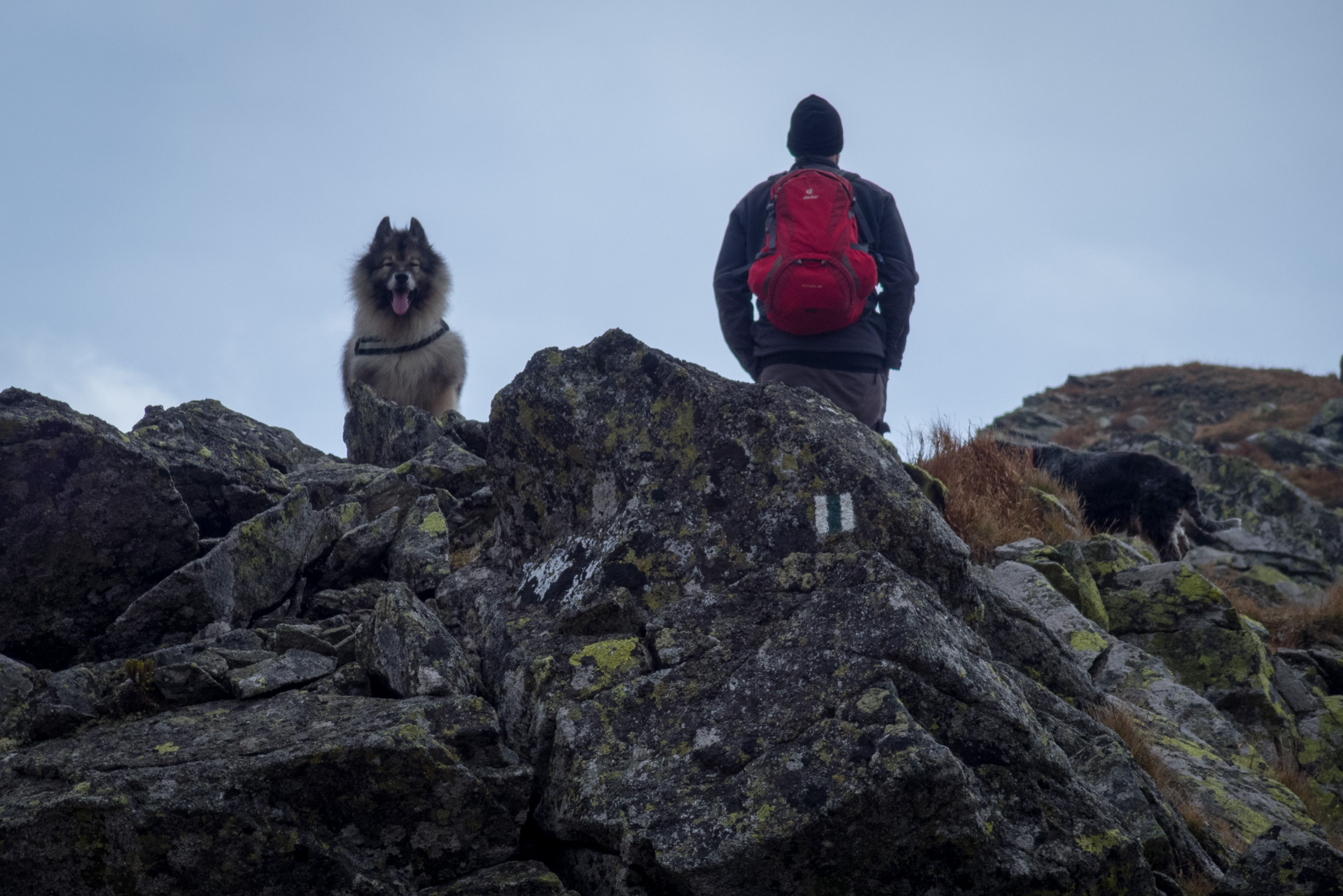 Otrhance z ATC Račkova dolina (Západné Tatry)