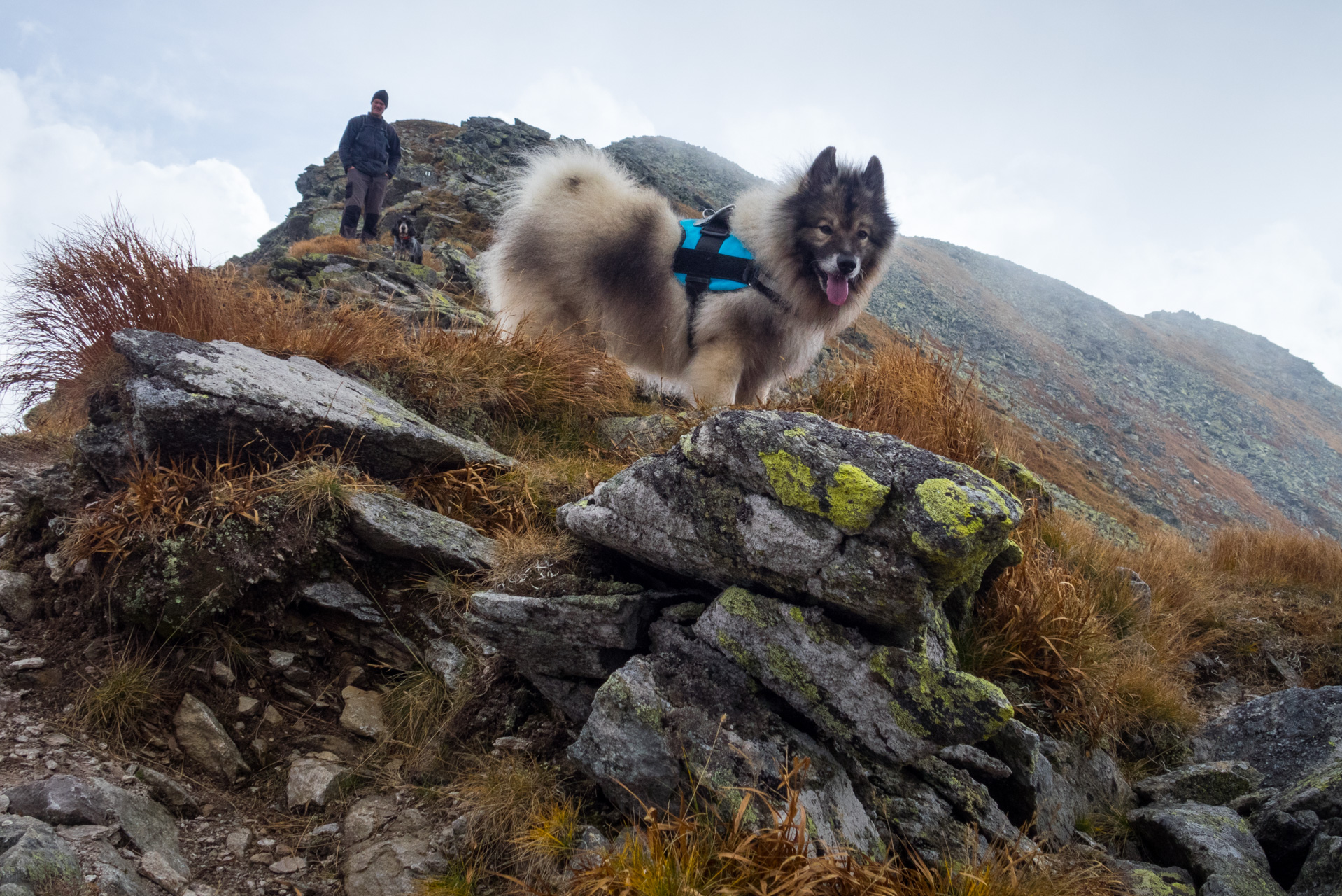 Otrhance z ATC Račkova dolina (Západné Tatry)