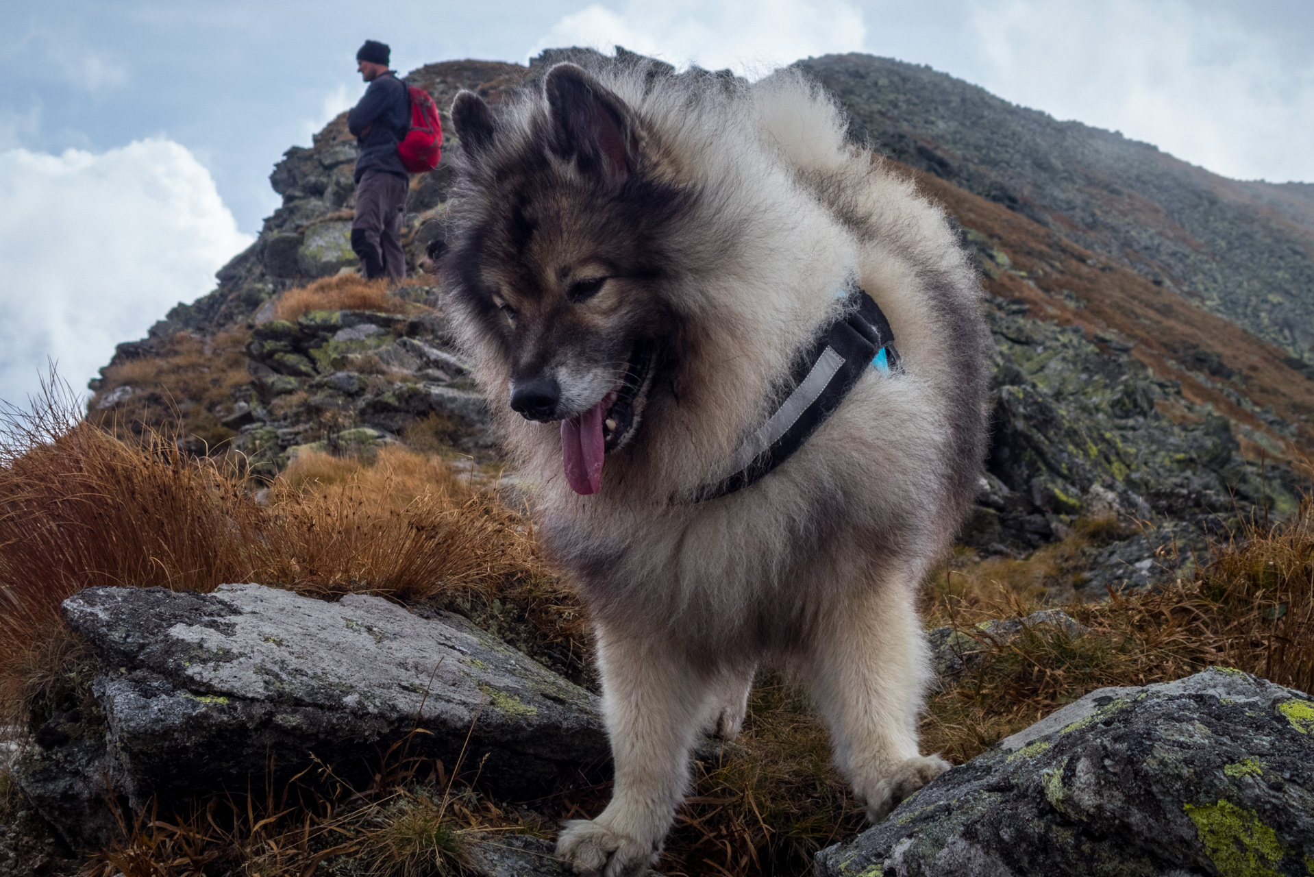 Otrhance z ATC Račkova dolina (Západné Tatry)