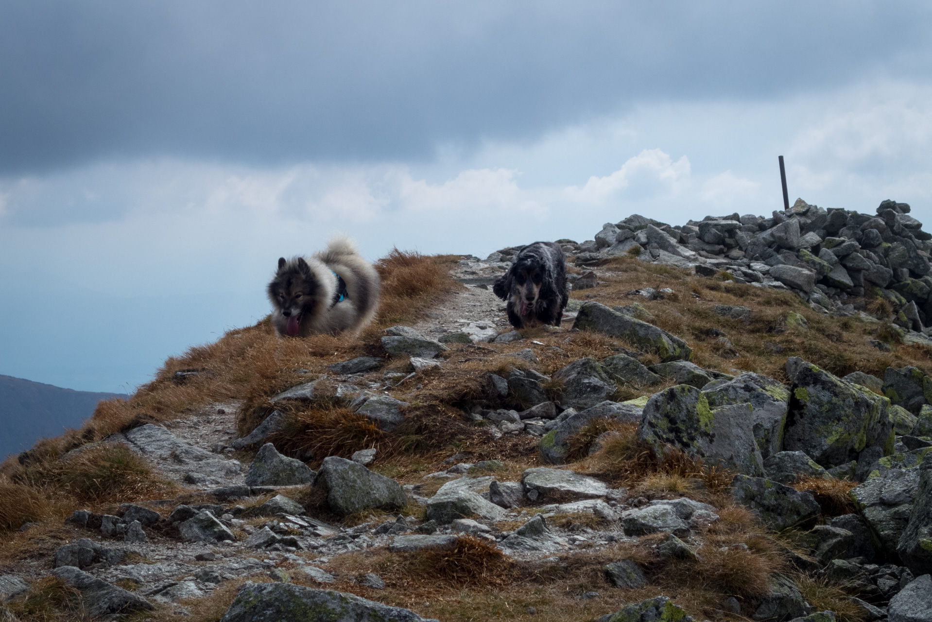 Otrhance z ATC Račkova dolina (Západné Tatry)