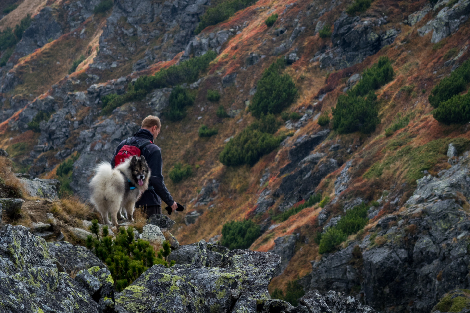 Otrhance z ATC Račkova dolina (Západné Tatry)