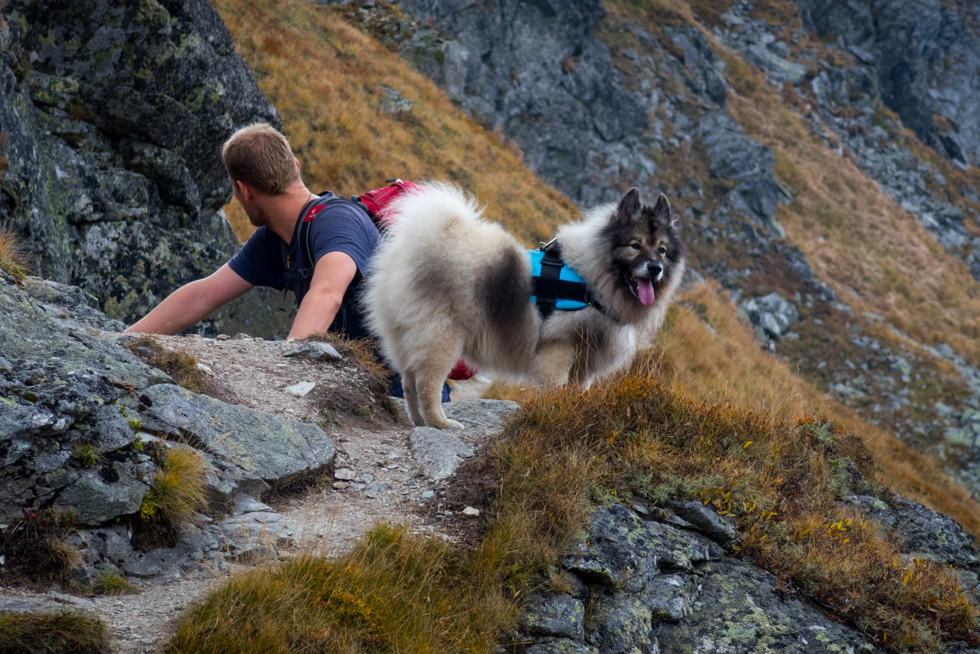 Otrhance z ATC Račkova dolina (Západné Tatry)