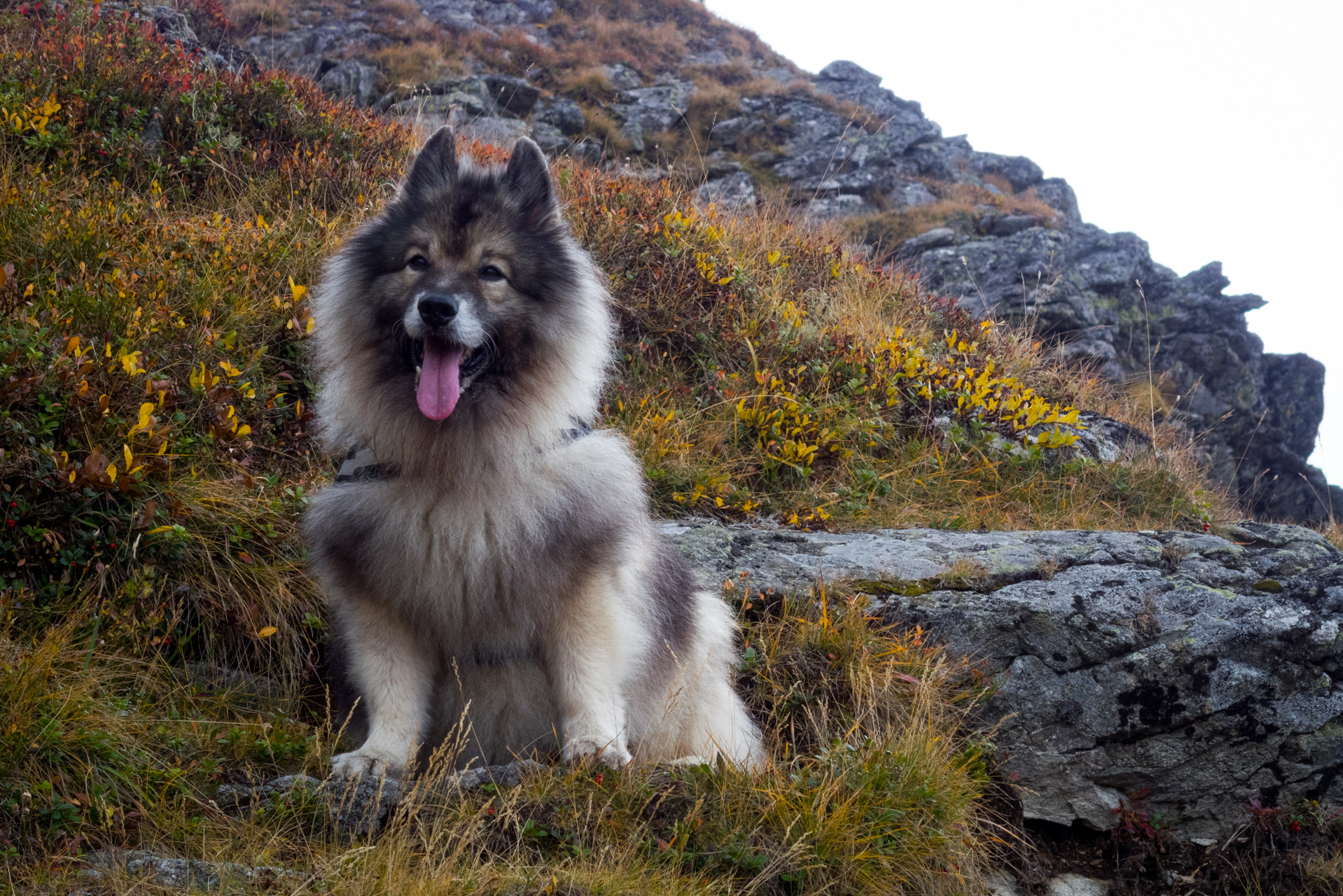 Otrhance z ATC Račkova dolina (Západné Tatry)