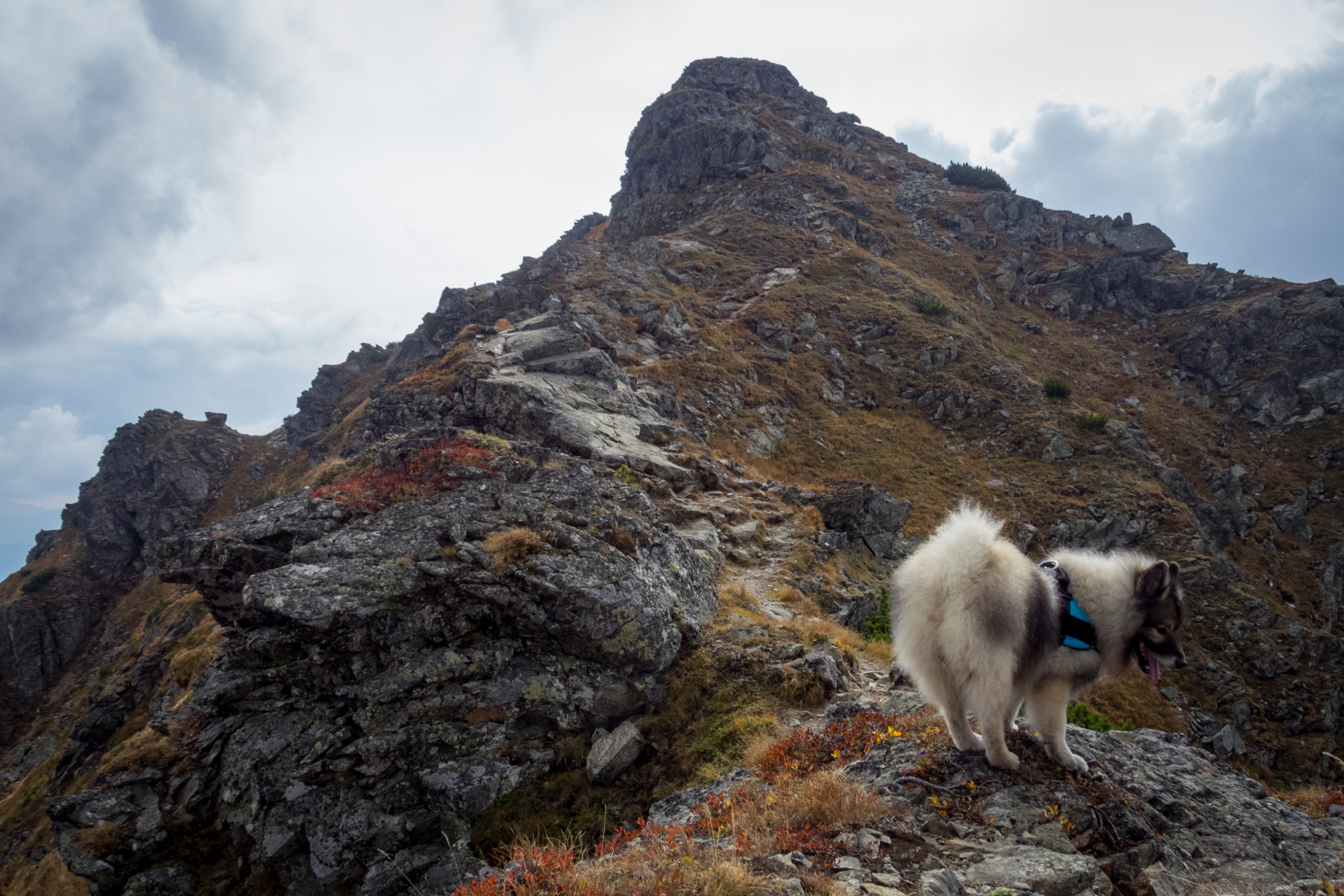 Otrhance z ATC Račkova dolina (Západné Tatry)