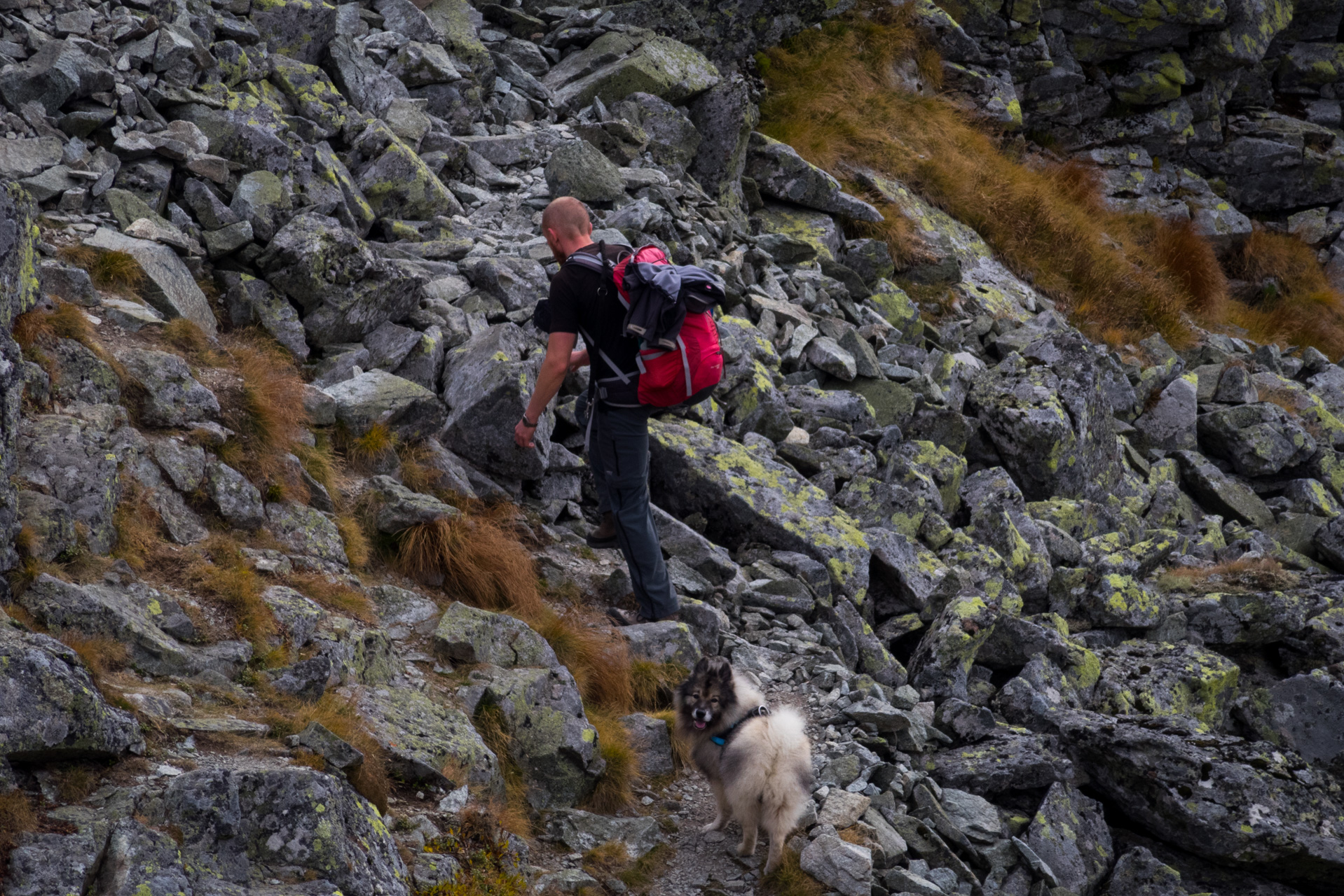 Otrhance z ATC Račkova dolina (Západné Tatry)