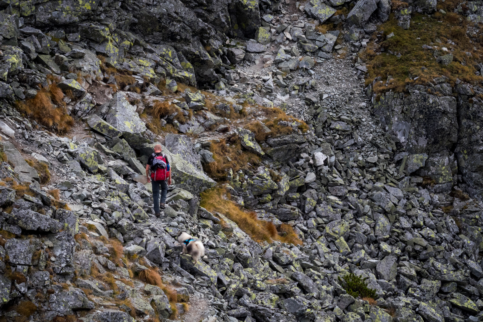 Otrhance z ATC Račkova dolina (Západné Tatry)