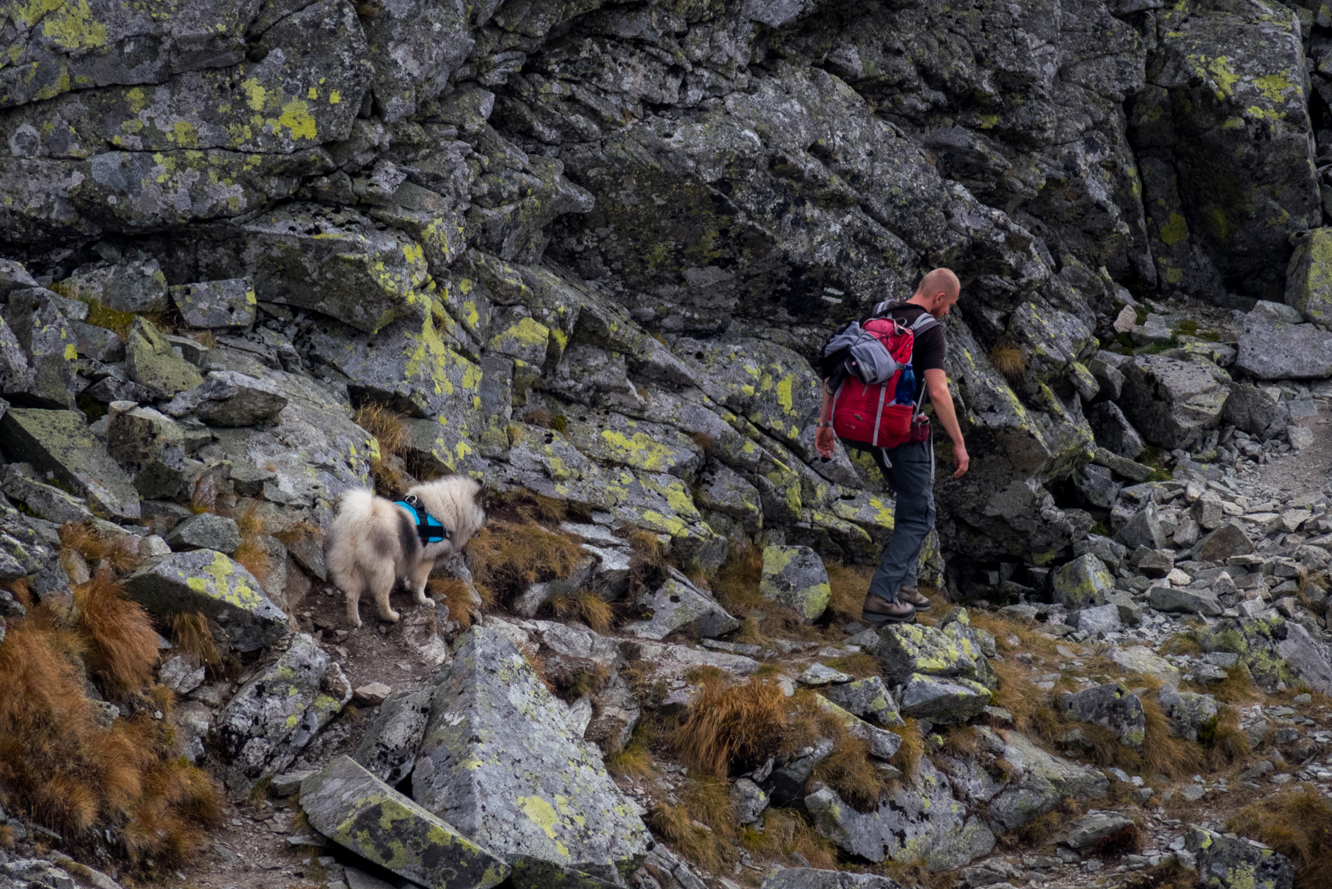 Otrhance z ATC Račkova dolina (Západné Tatry)