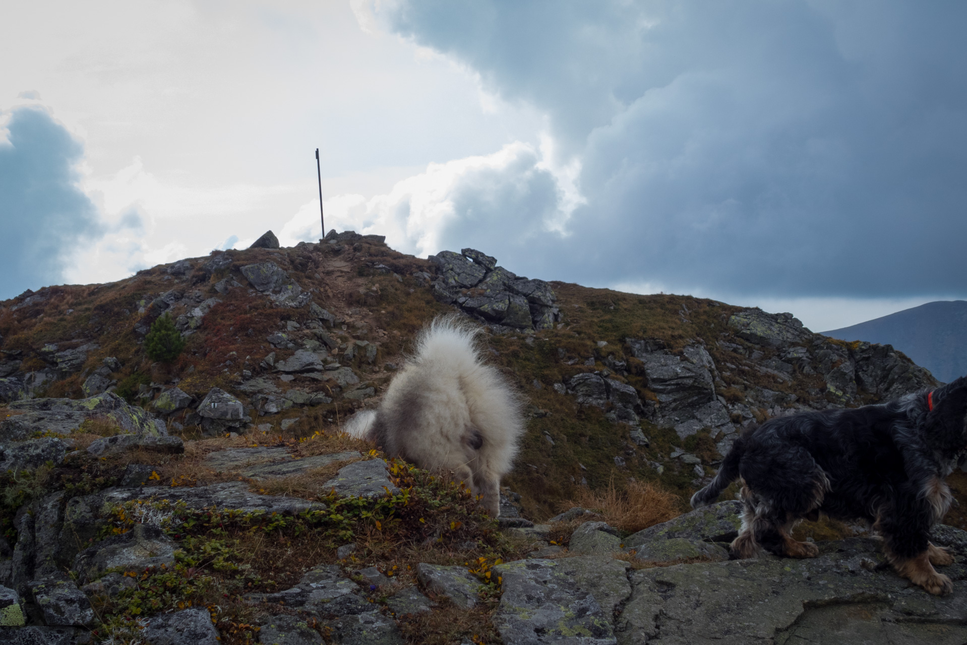 Otrhance z ATC Račkova dolina (Západné Tatry)