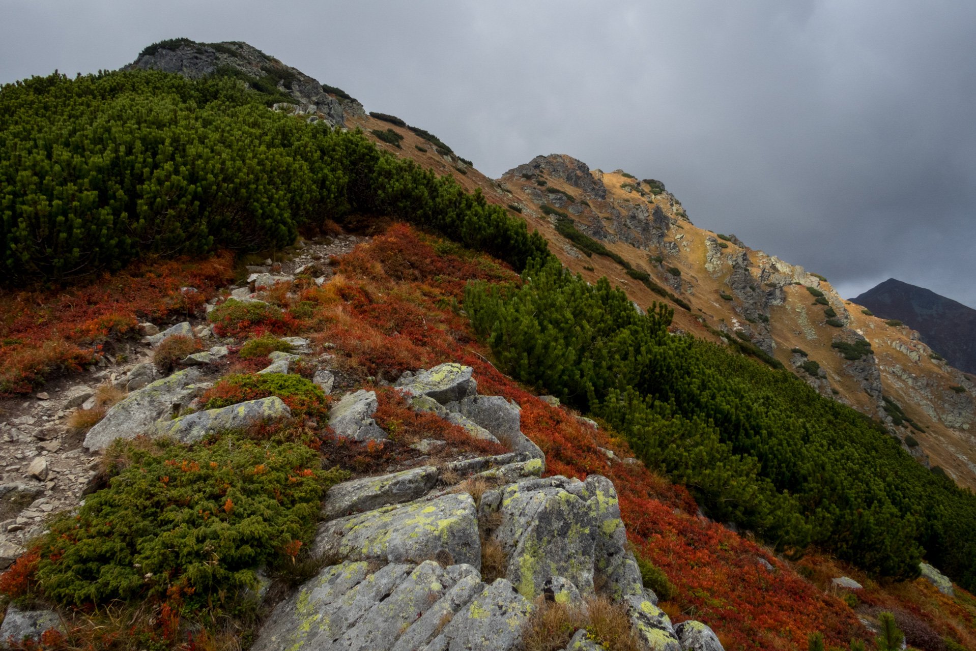 Otrhance z ATC Račkova dolina (Západné Tatry)