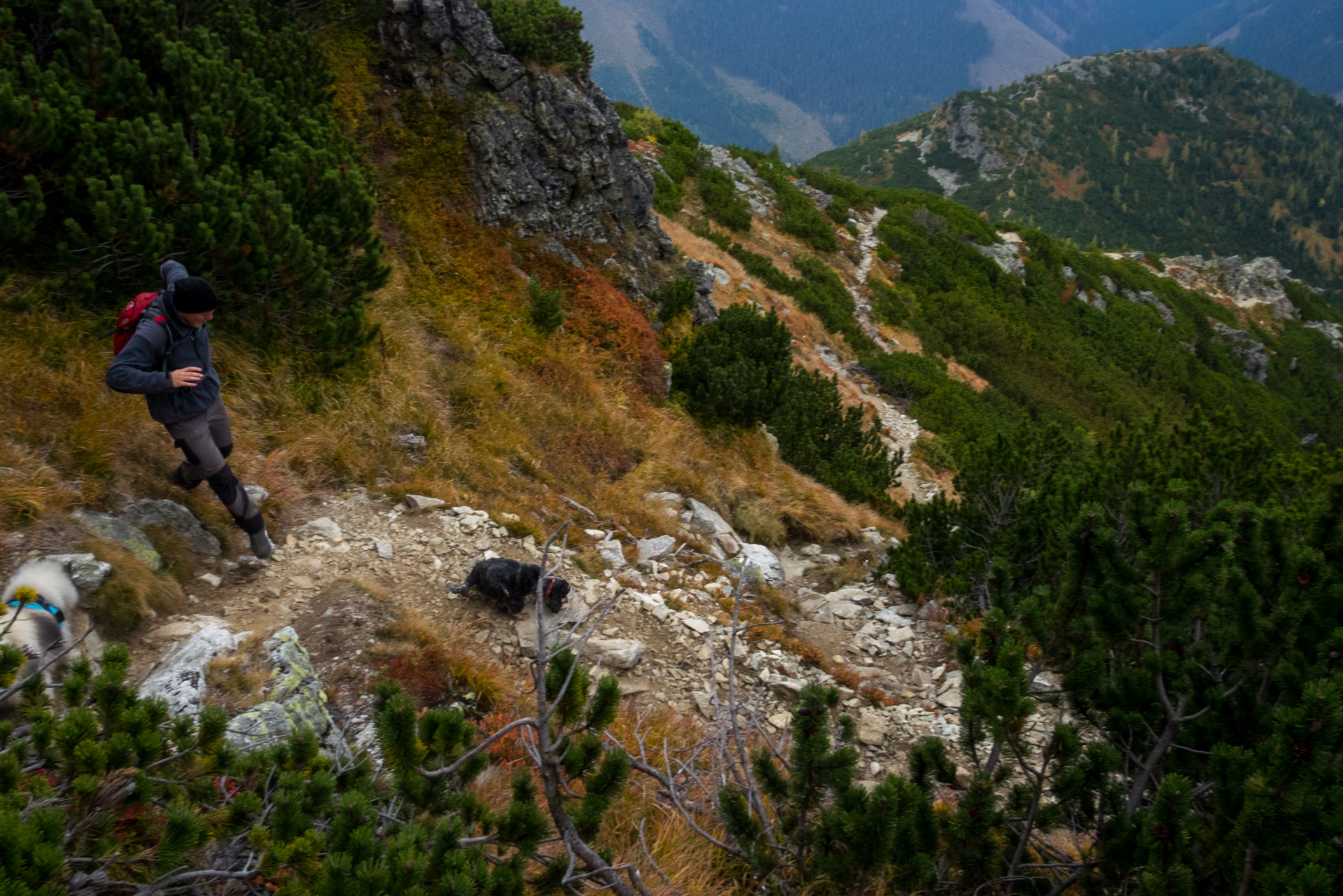 Otrhance z ATC Račkova dolina (Západné Tatry)