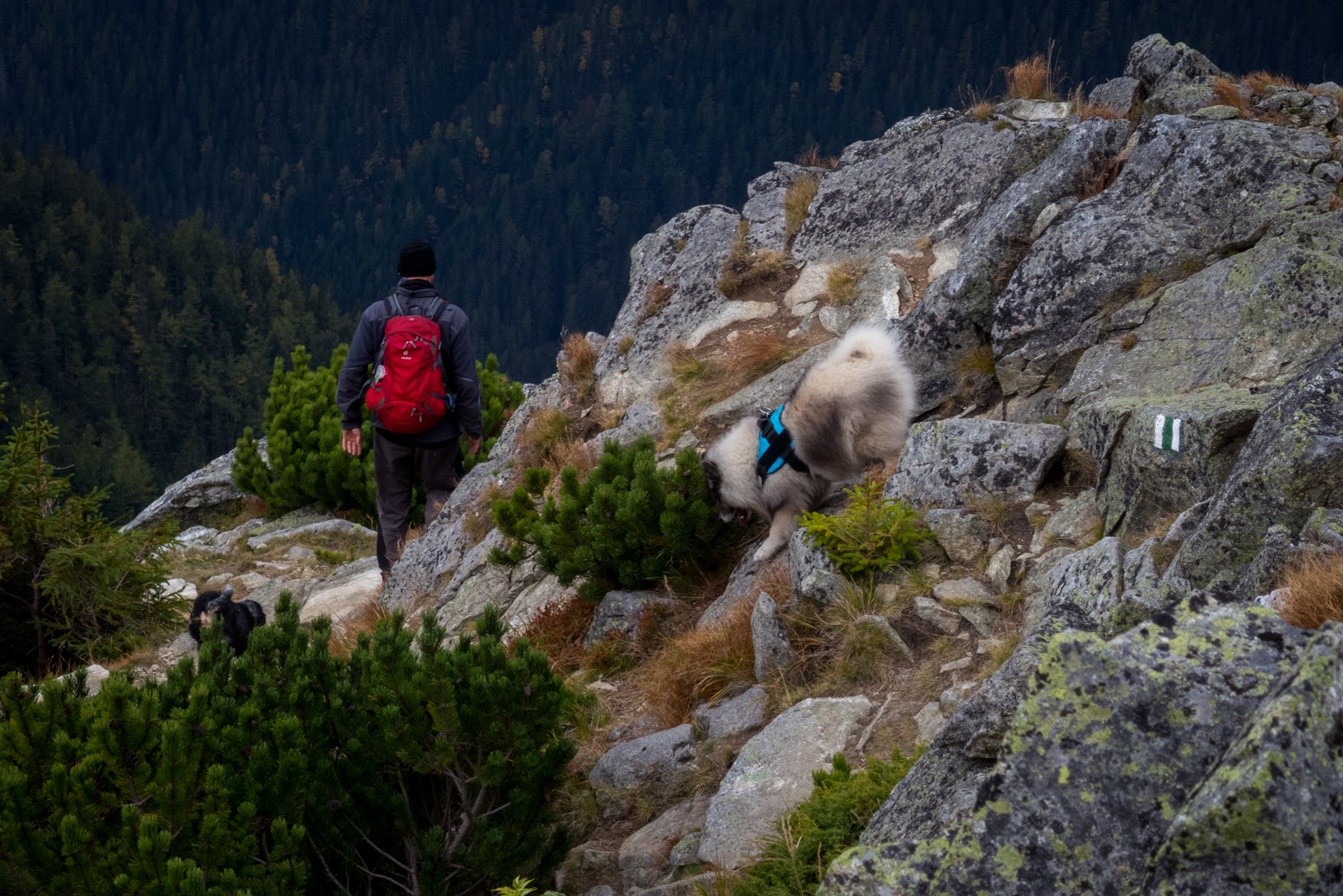 Otrhance z ATC Račkova dolina (Západné Tatry)