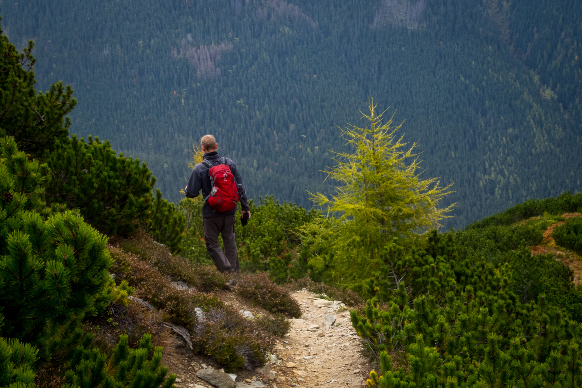 Otrhance z ATC Račkova dolina (Západné Tatry)